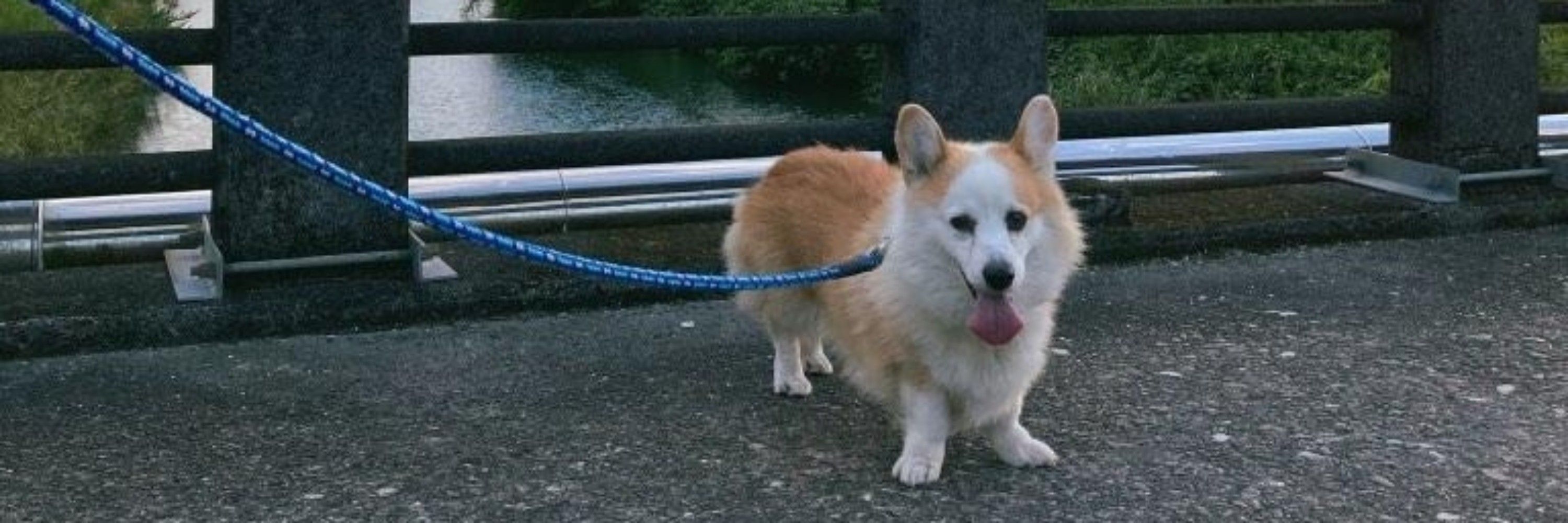 もーちゃん