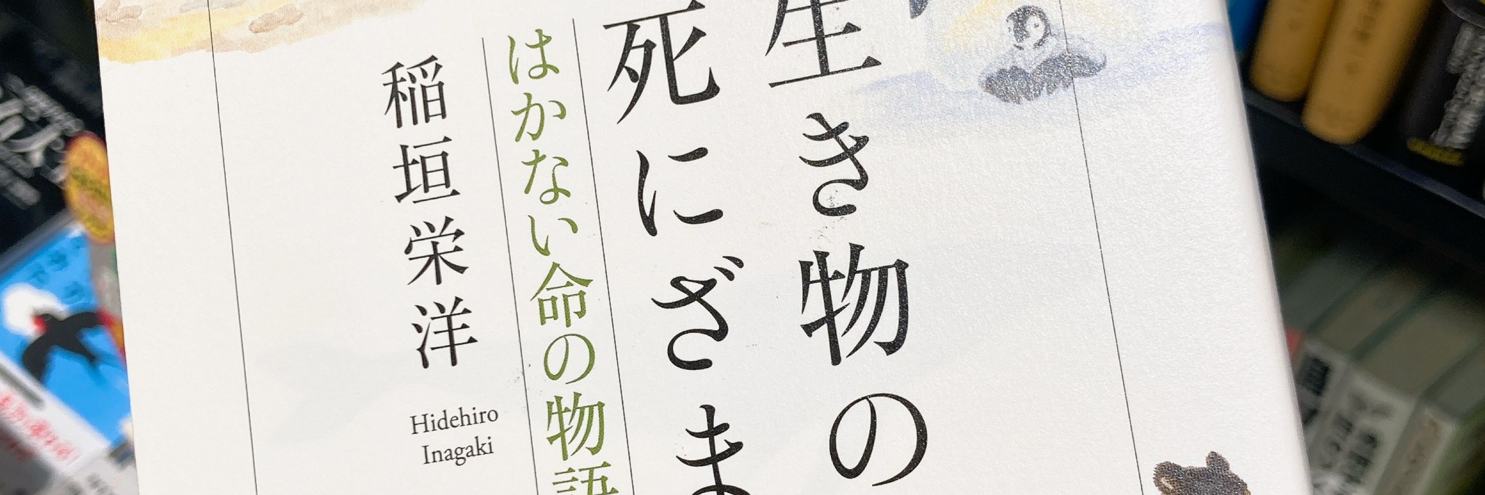 おふとぅんもふお