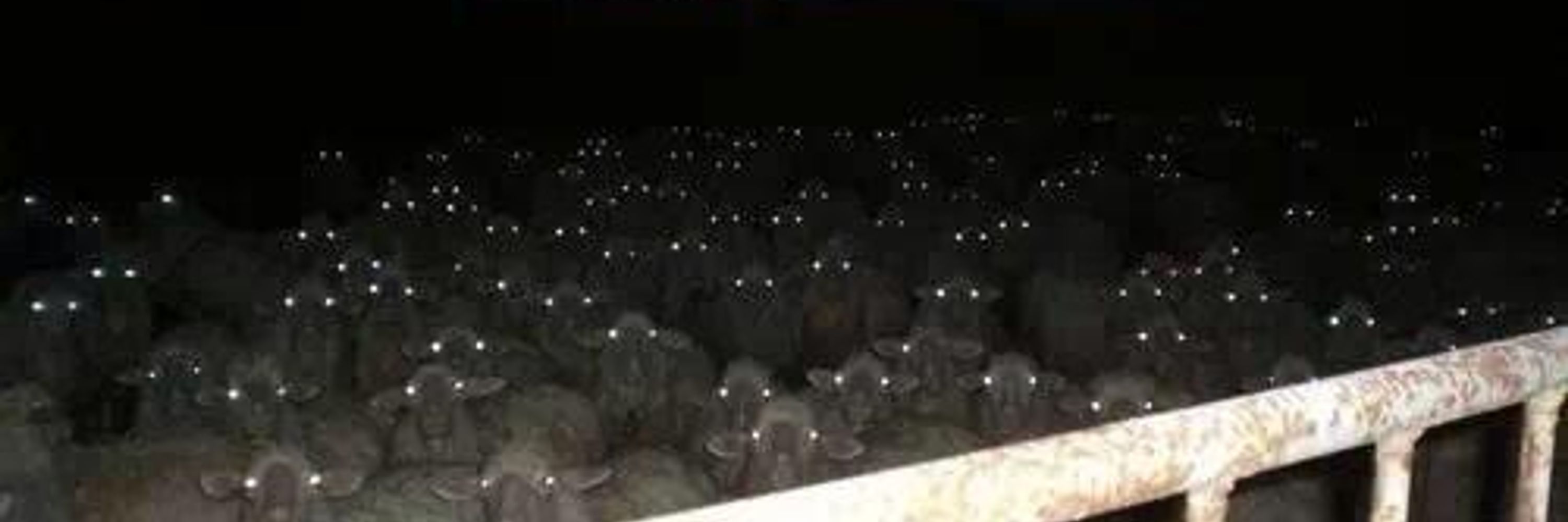 3baa