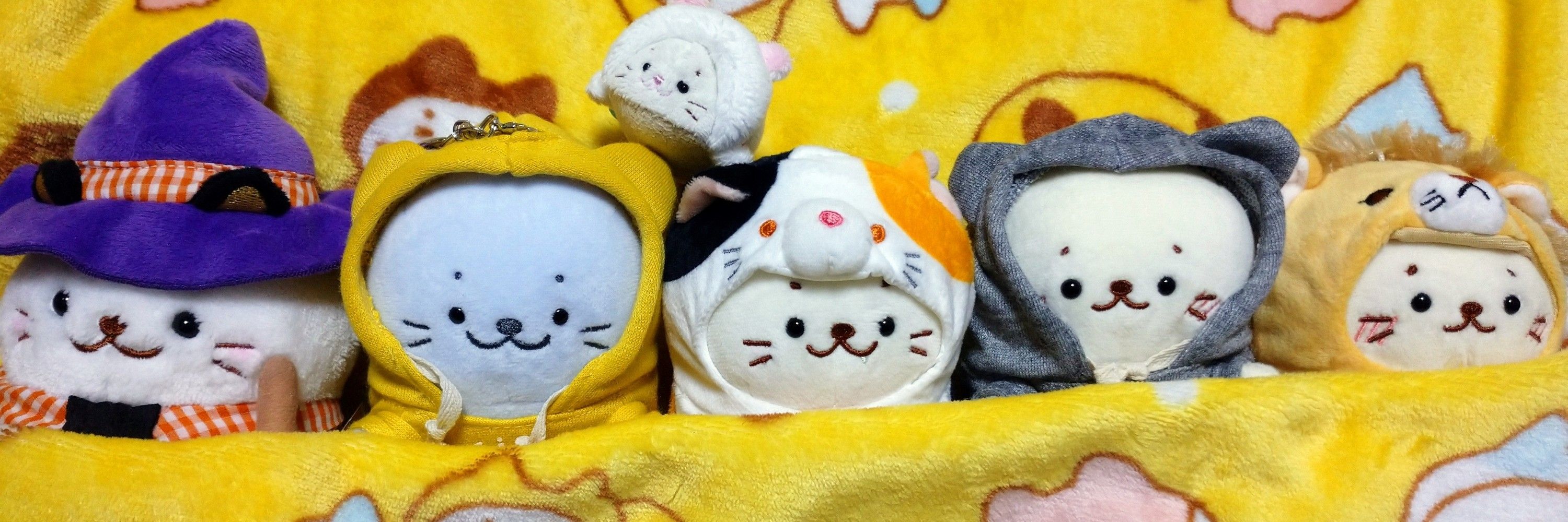 なつしのや