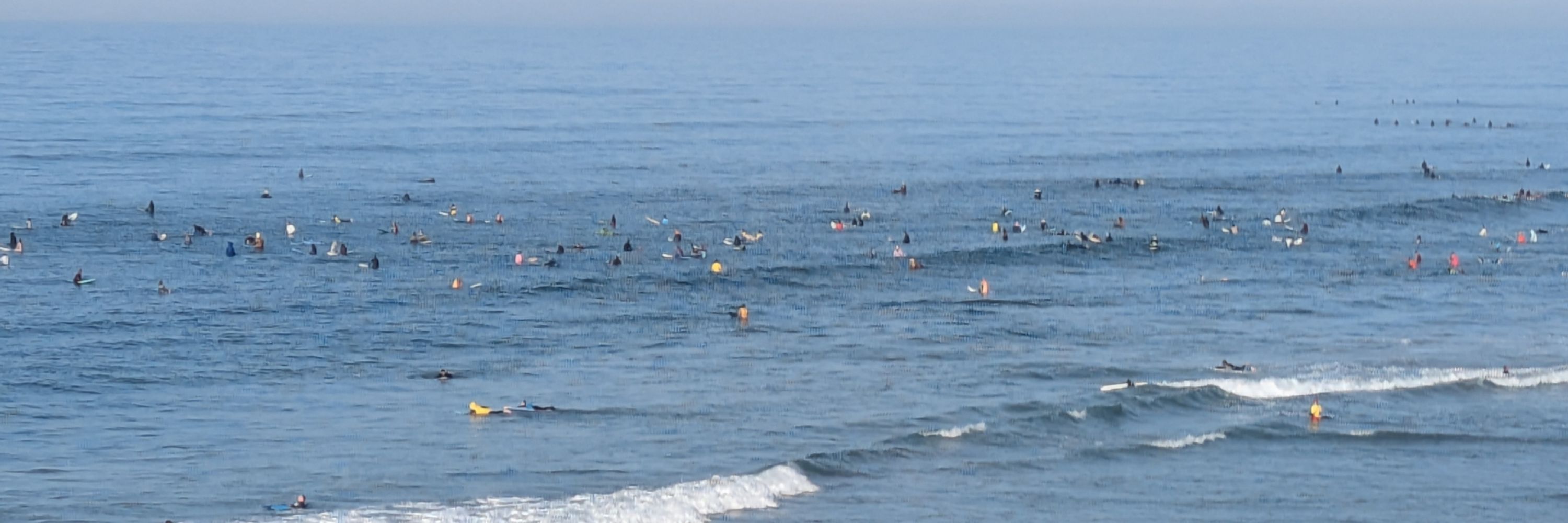 PhDsurfbum