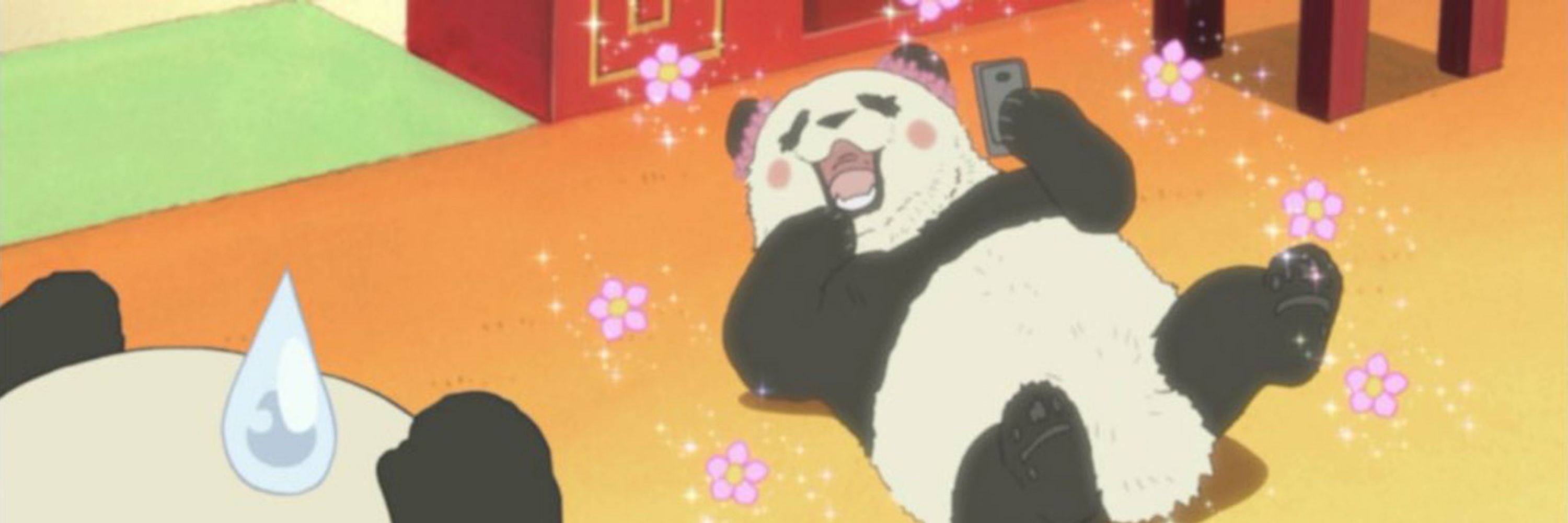 KIM PANDA🐼