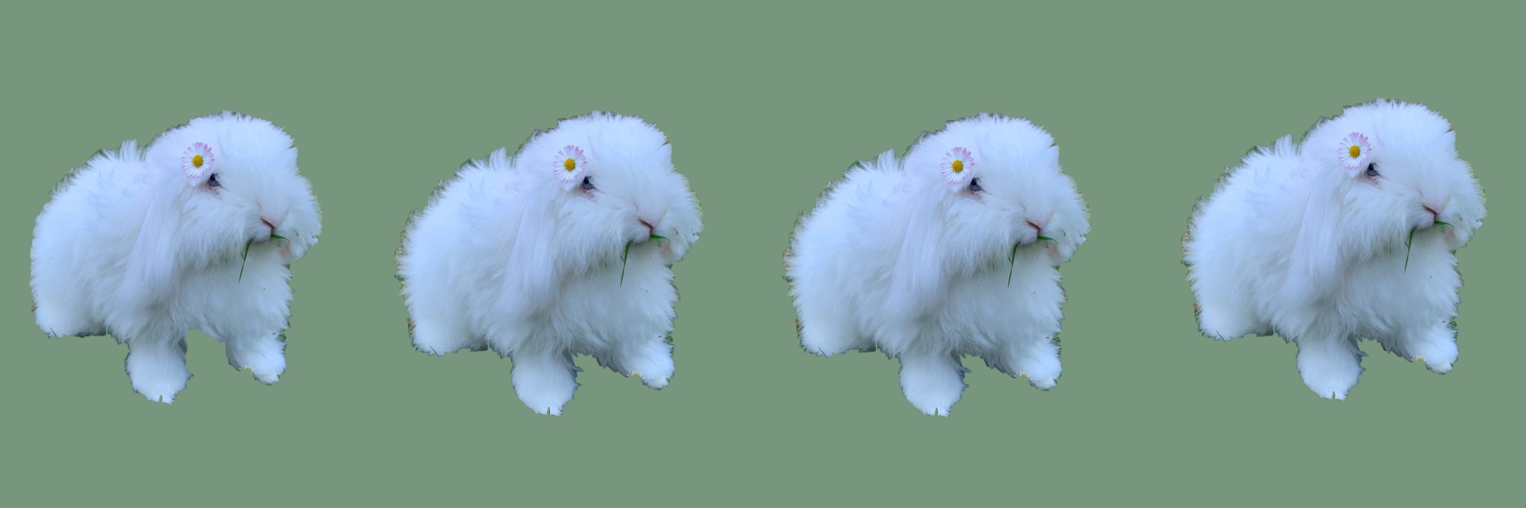 𝙲𝚘𝚕𝚘𝚖𝚋𝚎 ꩜