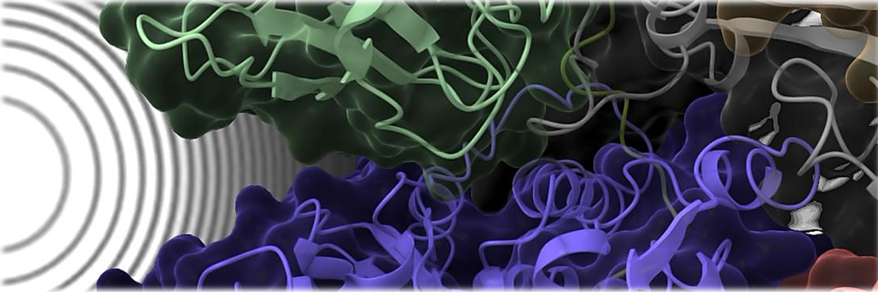 Saikat's_Lab@CSIR-CCMB