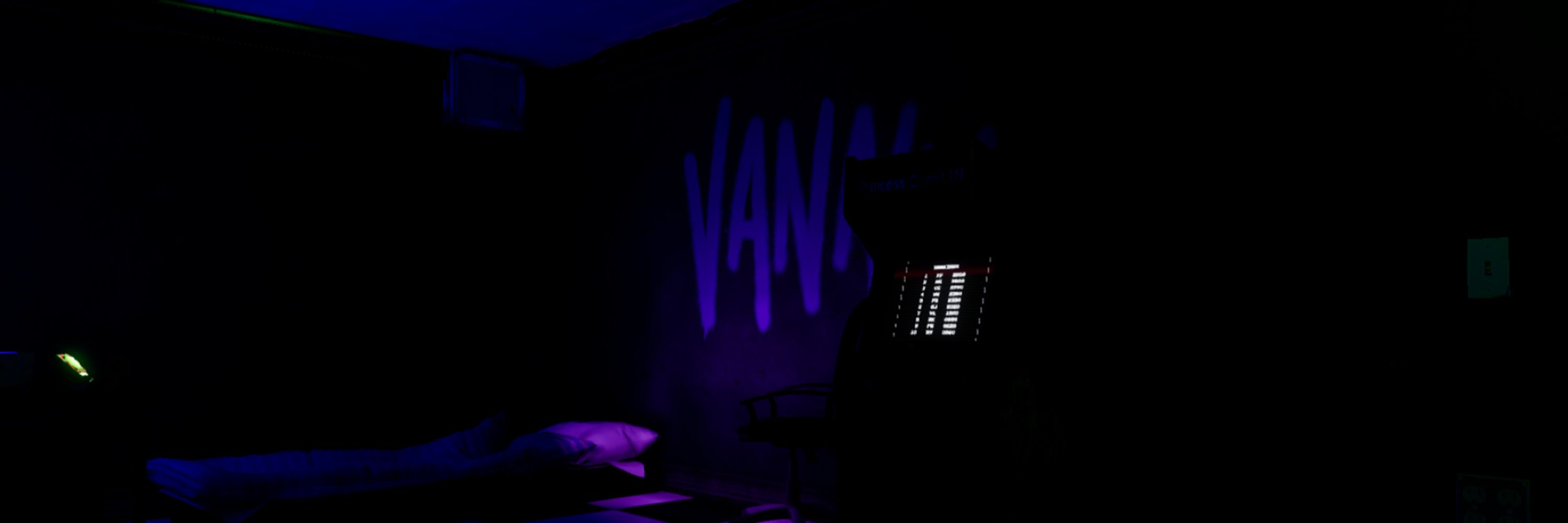 ㅤ૮꒰ ⑅ ˊ ། ິ ` ꒱ა　˚̣̣̣｡　venus　/　vanny　.ᐟ