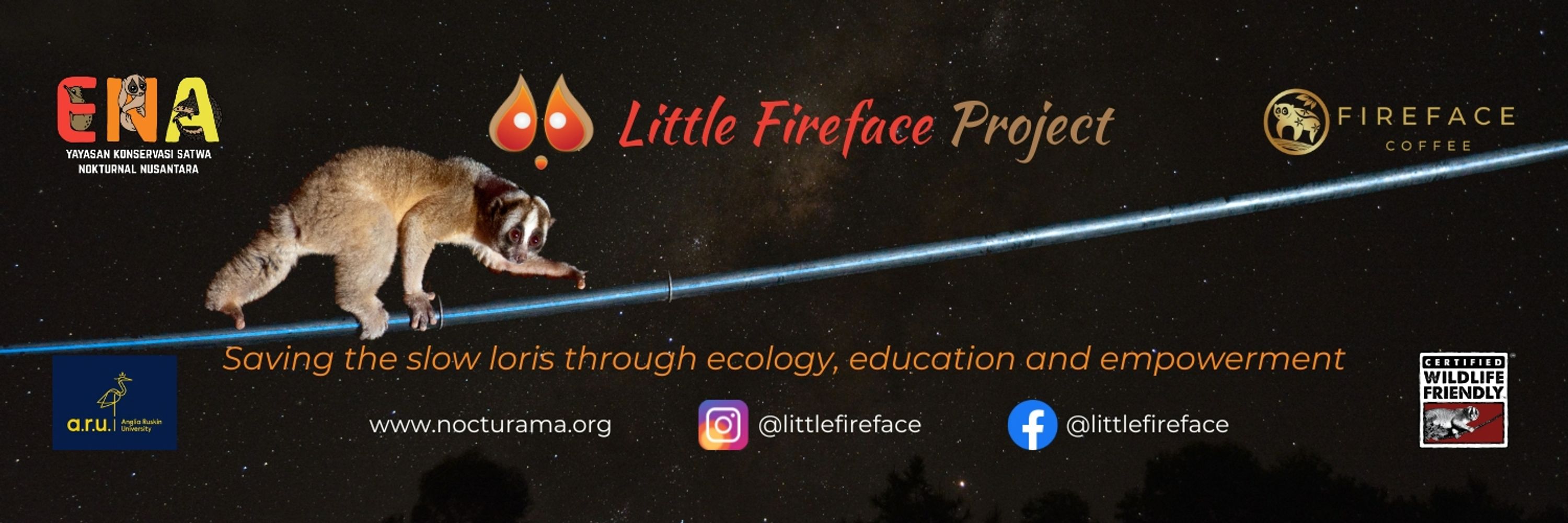 Little Fireface Project