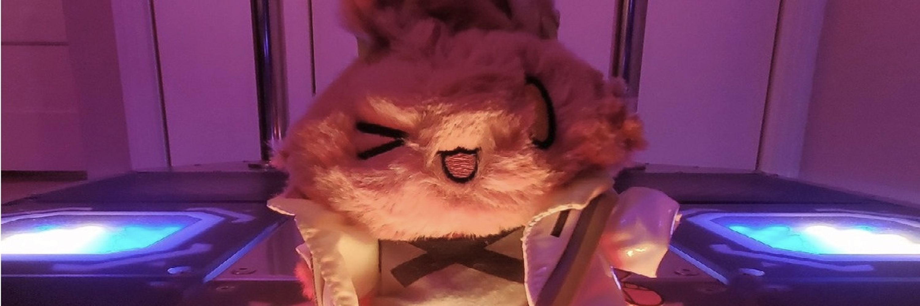 sqldatabunny