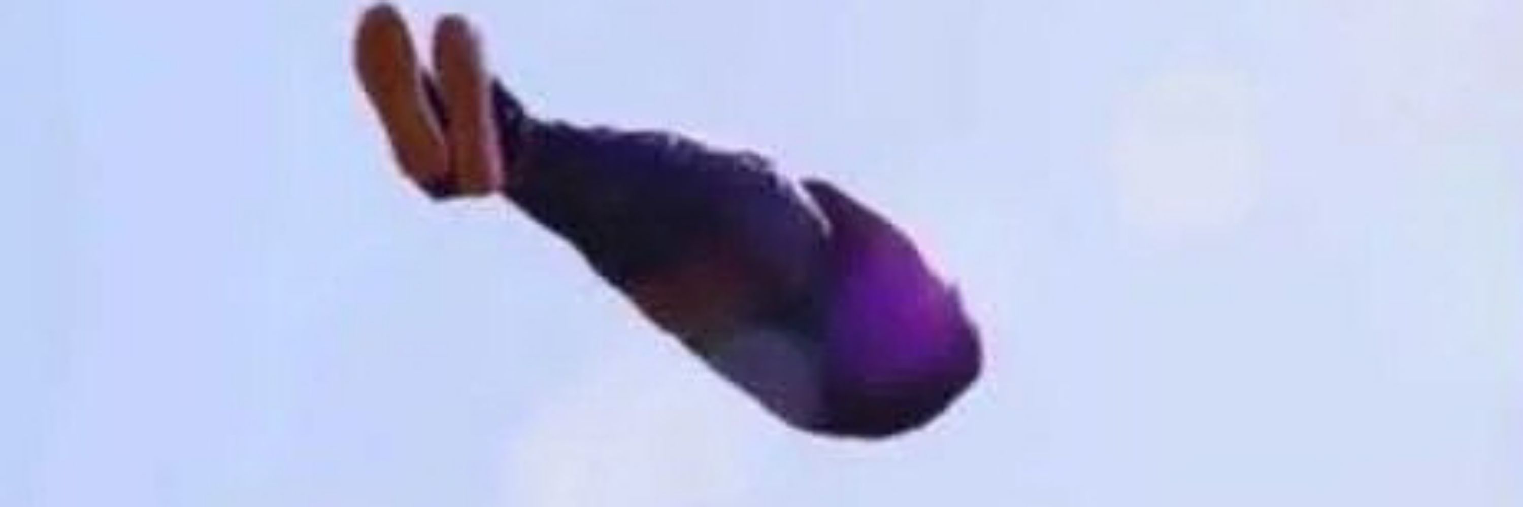 lel