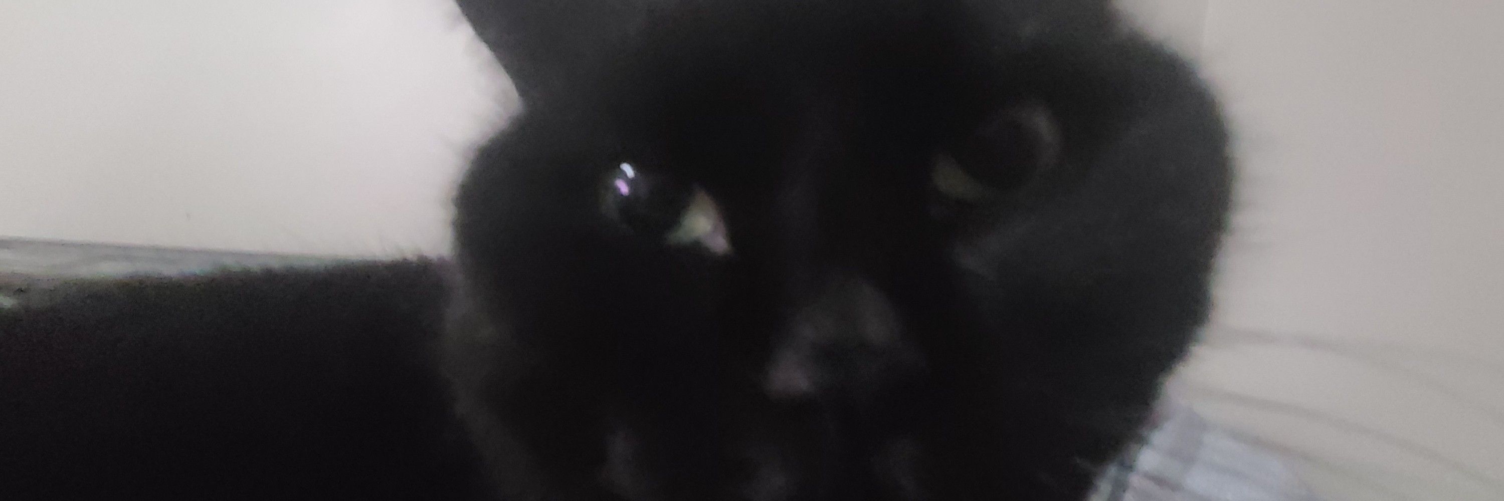 bweeomp