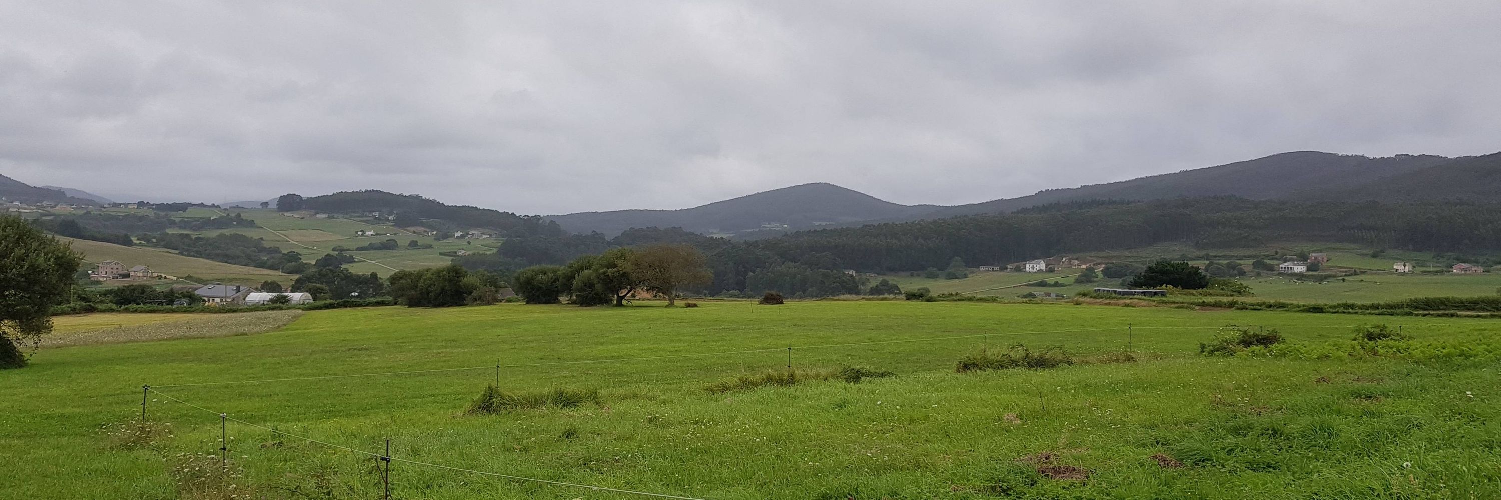 Xosé Uría 