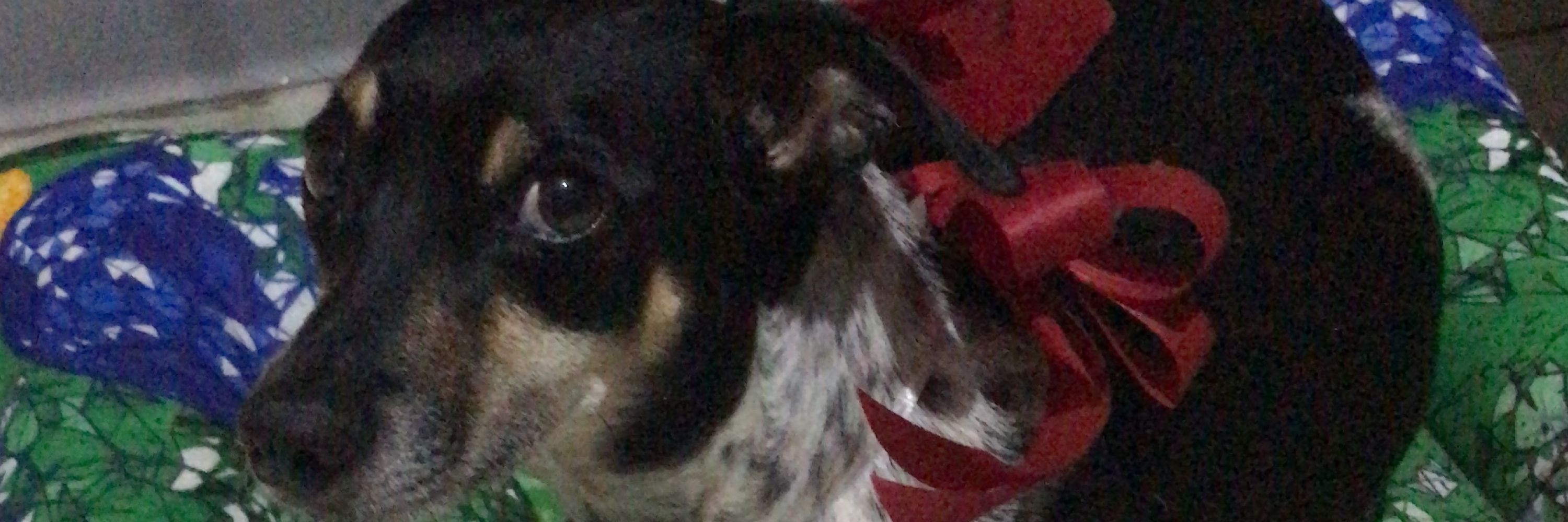 günther 🤯