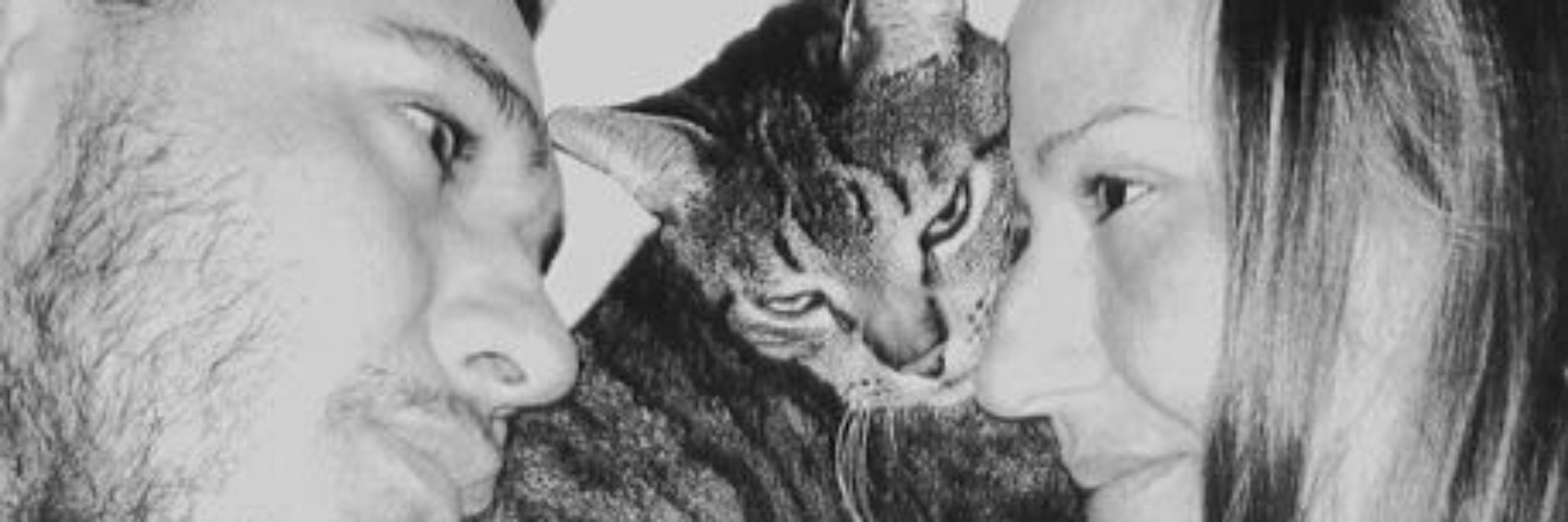 lua.