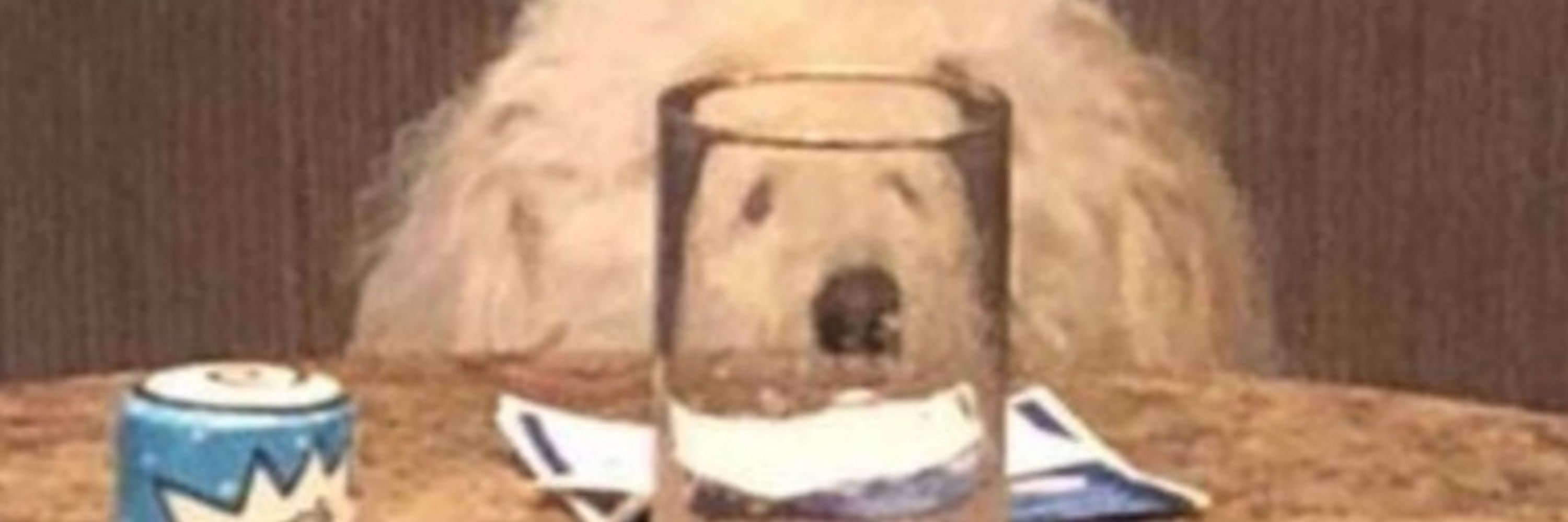 별댕