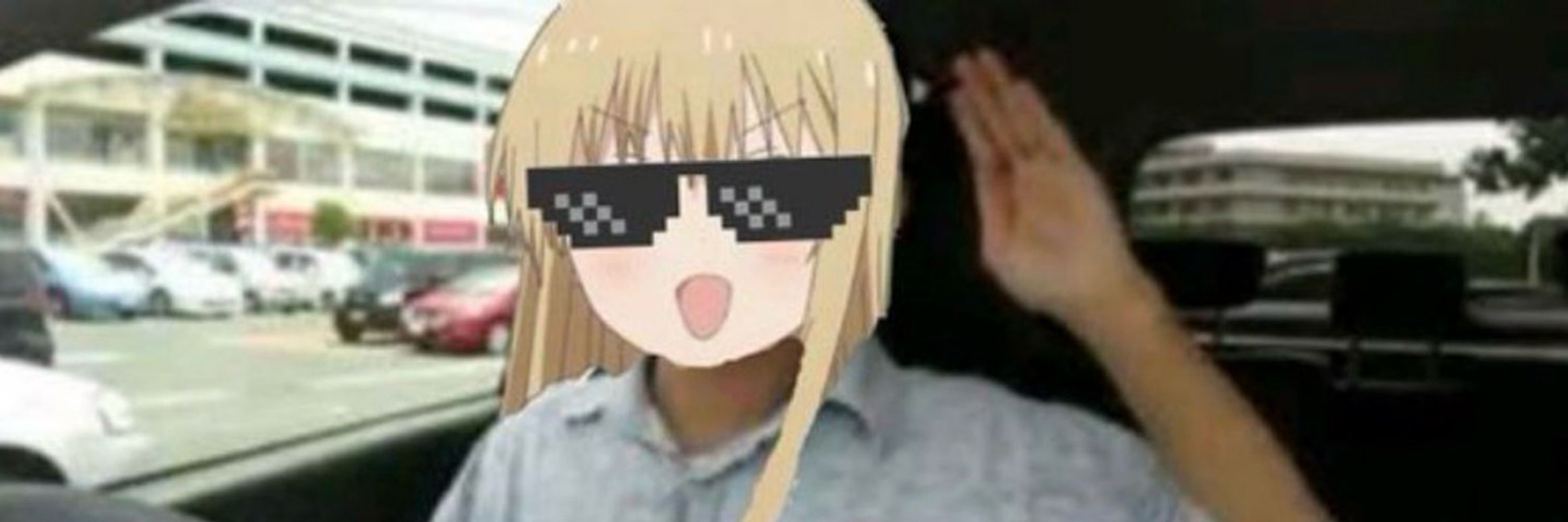 キョウゲにゃん