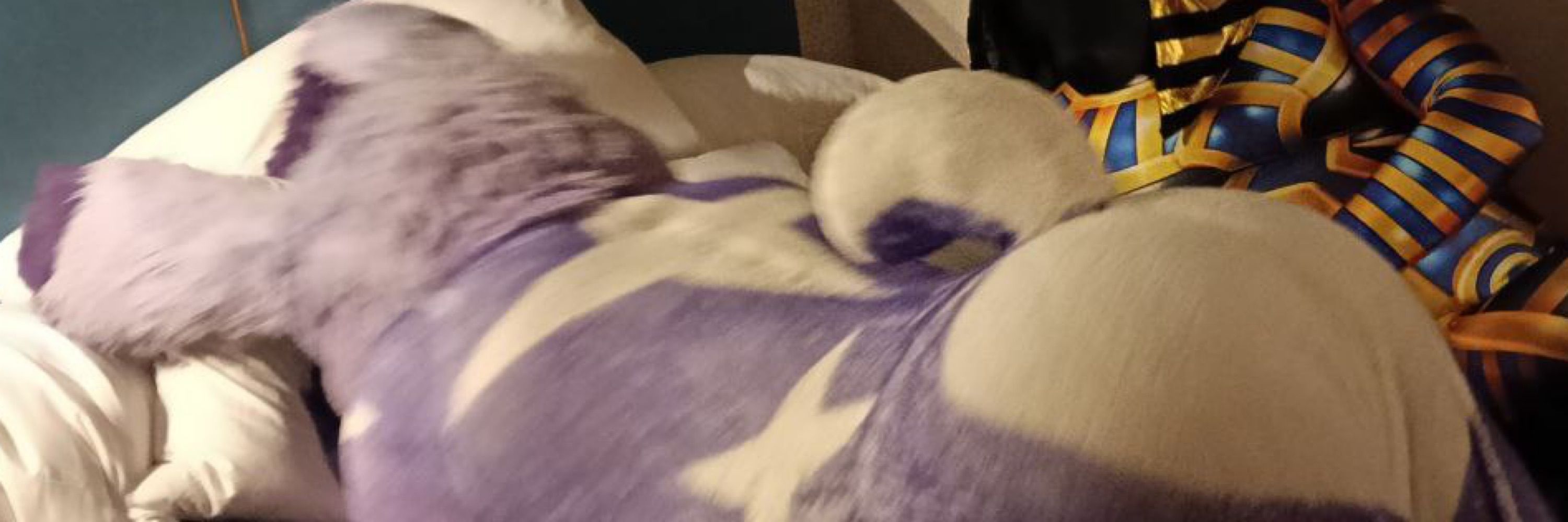 τω¡l¡ςнτ ✧✨💜