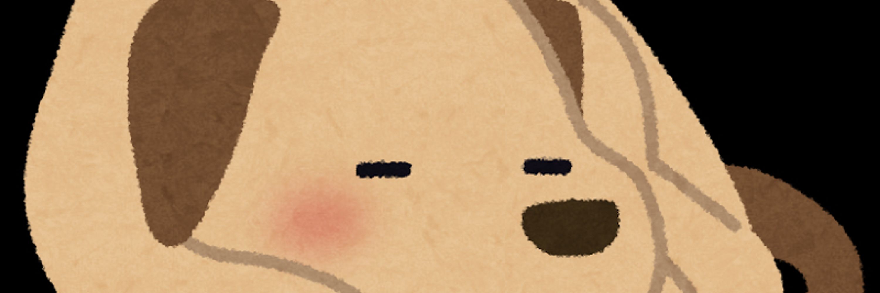 めも