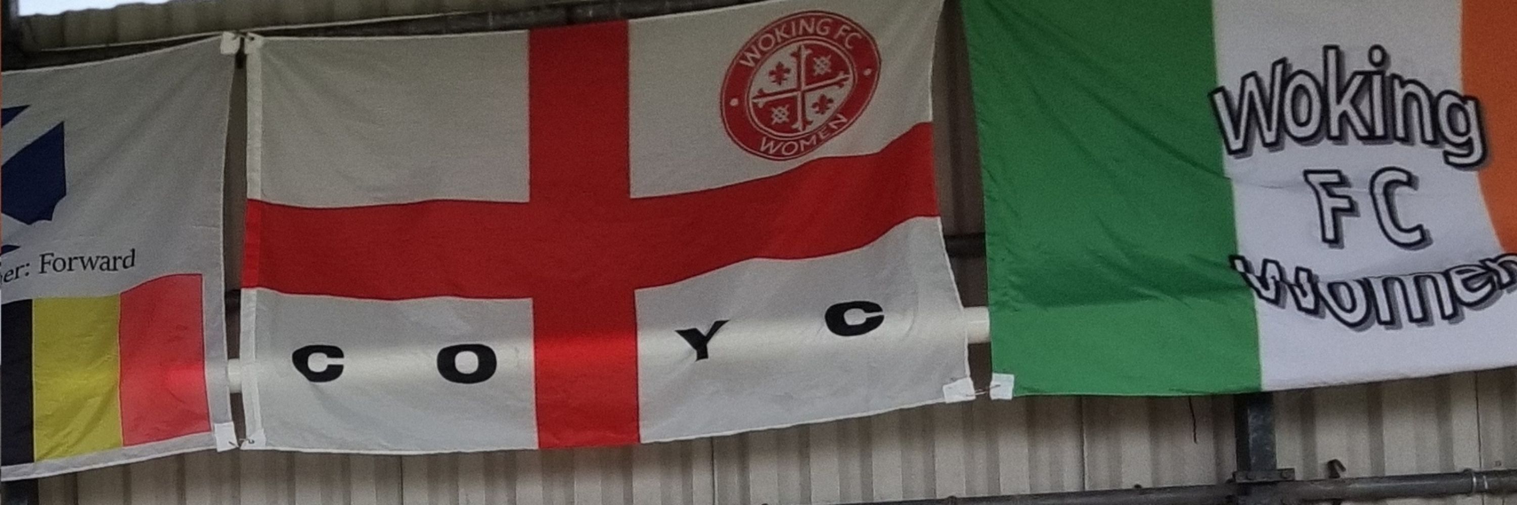Davewiththeflags