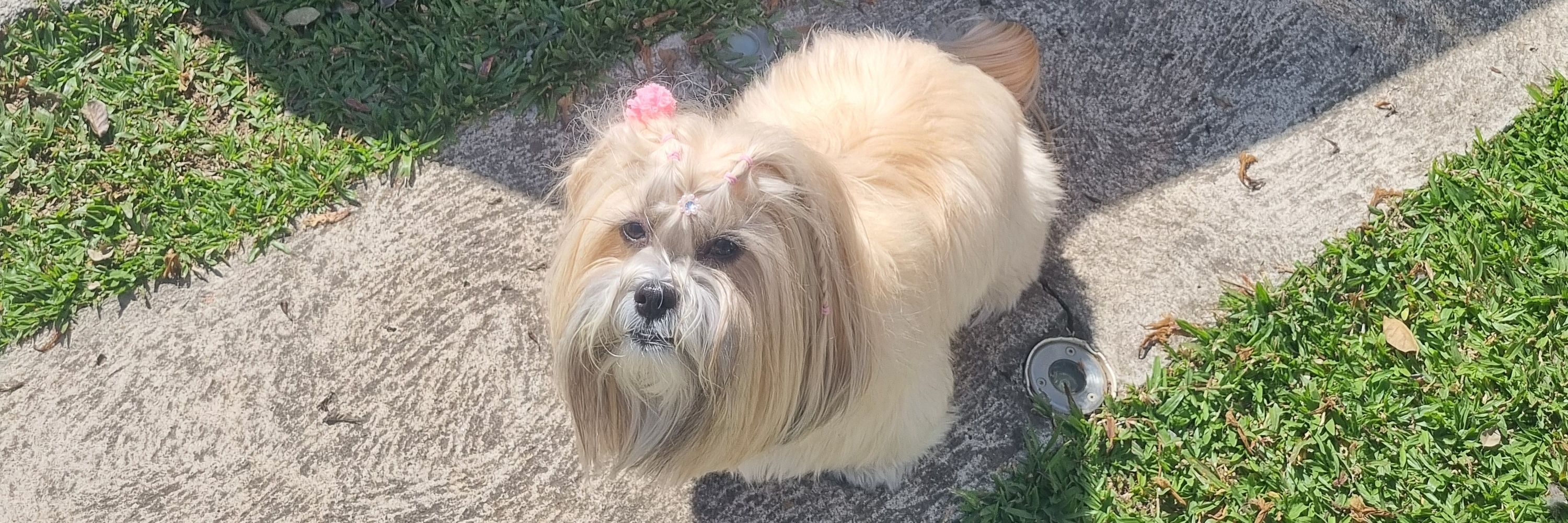 lele 🎀