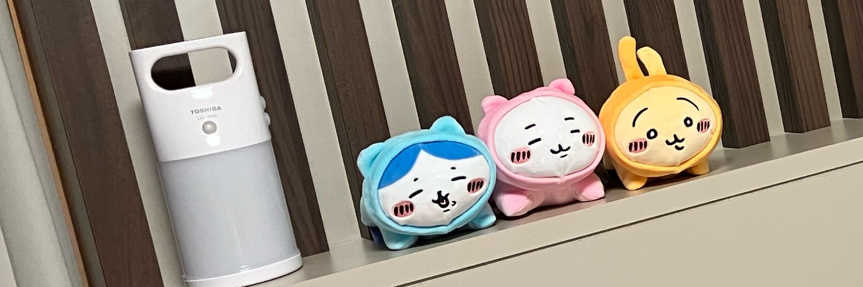 あにきー