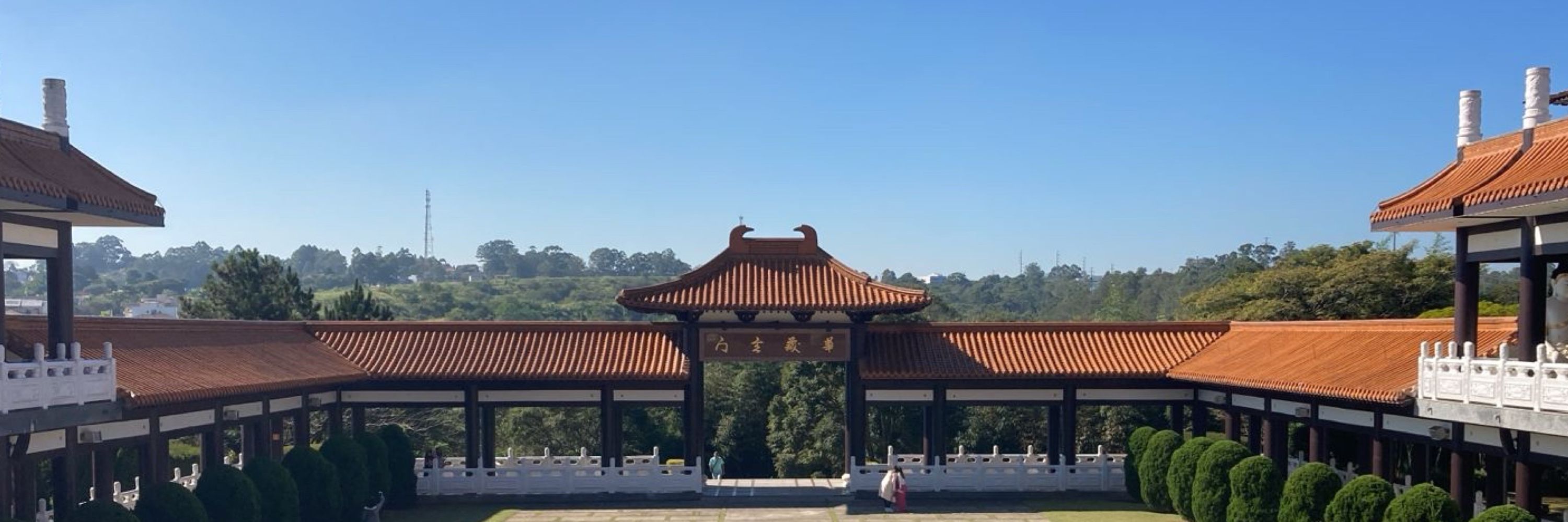 Concurseiro Shaolin