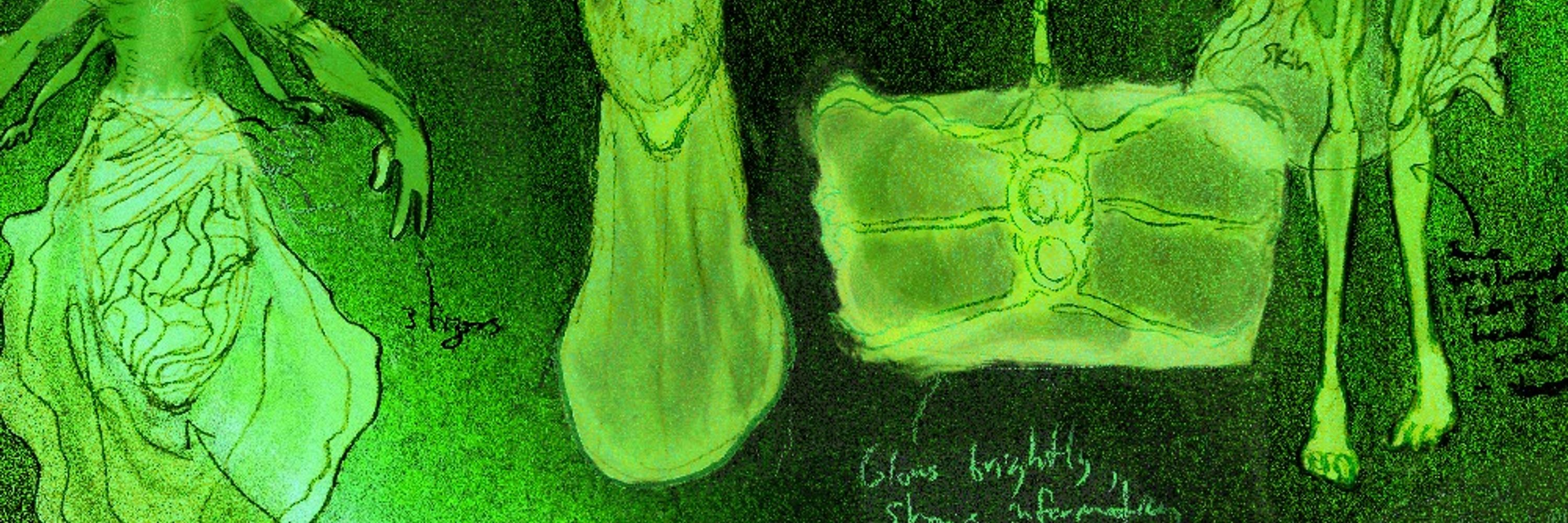 Orri Ortygan Orn, An Organ