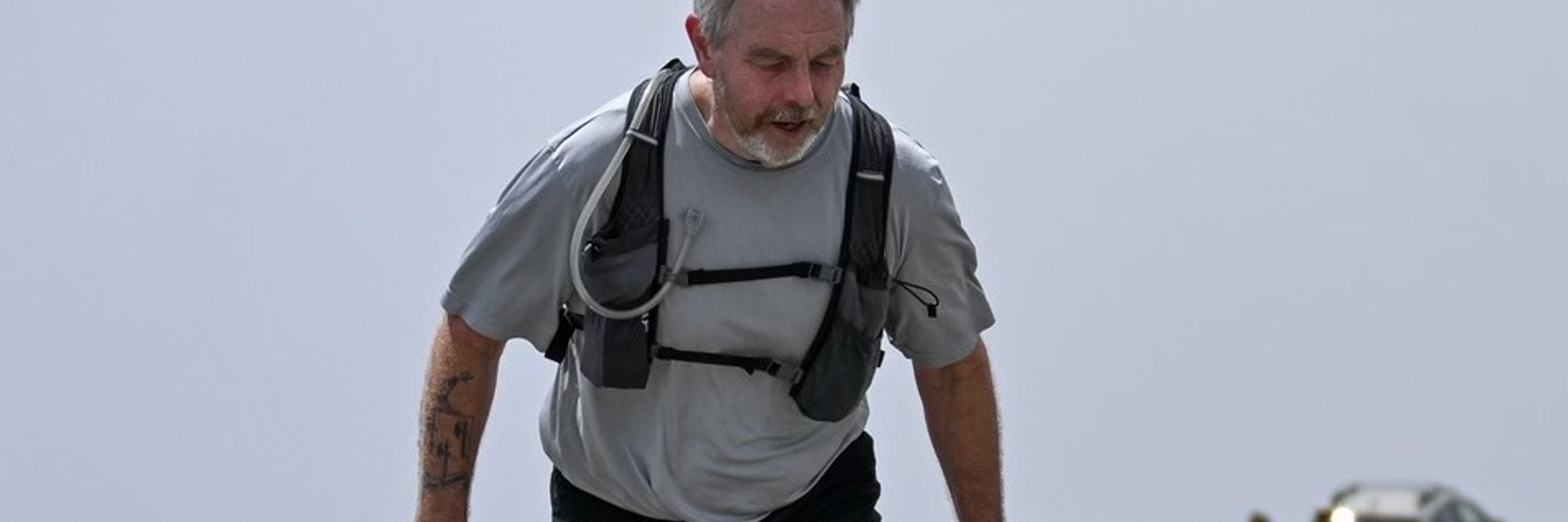 Bill Gibbs