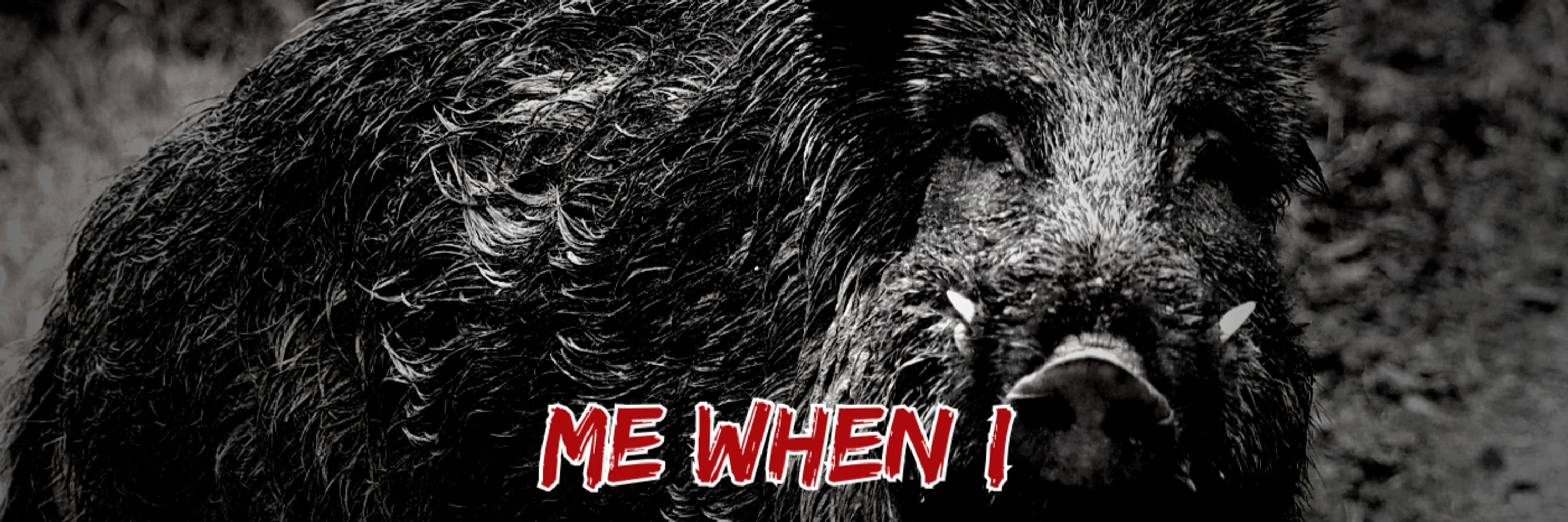 Restless Boar