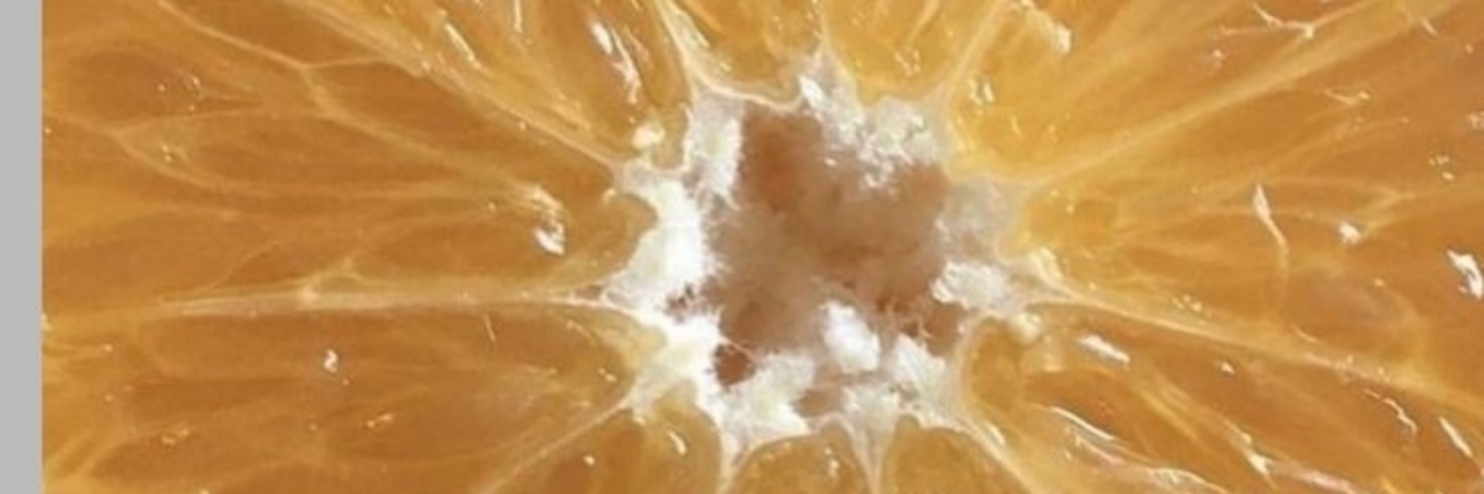 (bel)garmota. 🍊