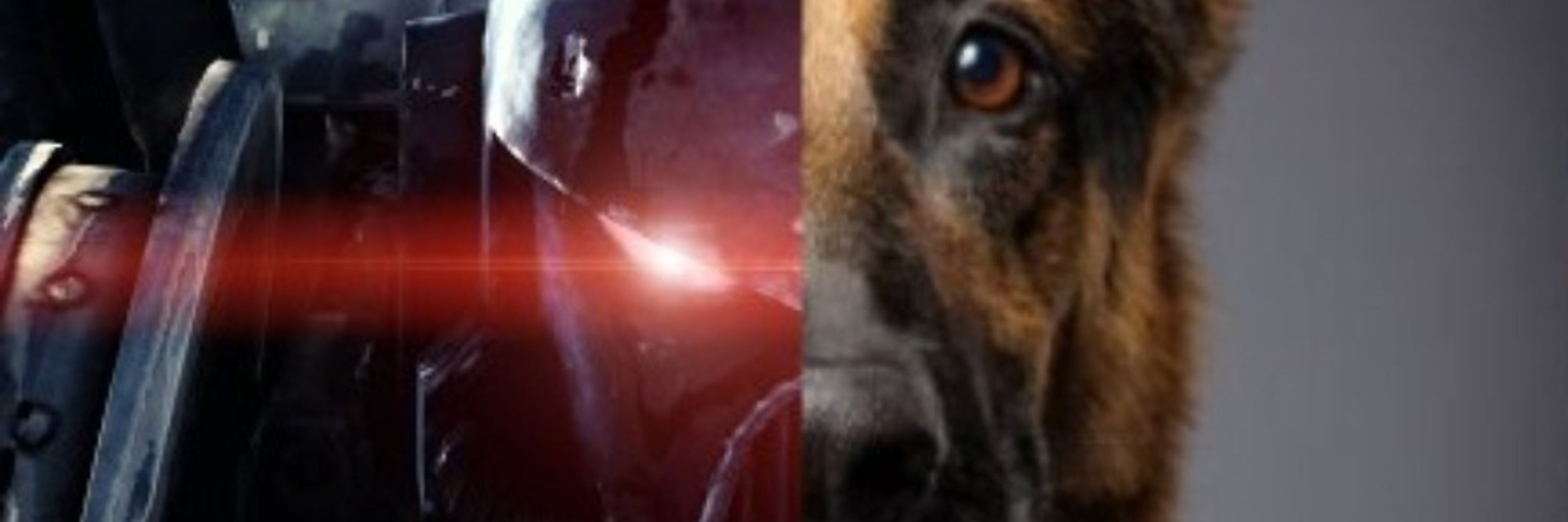 SmithyTheDogApparently