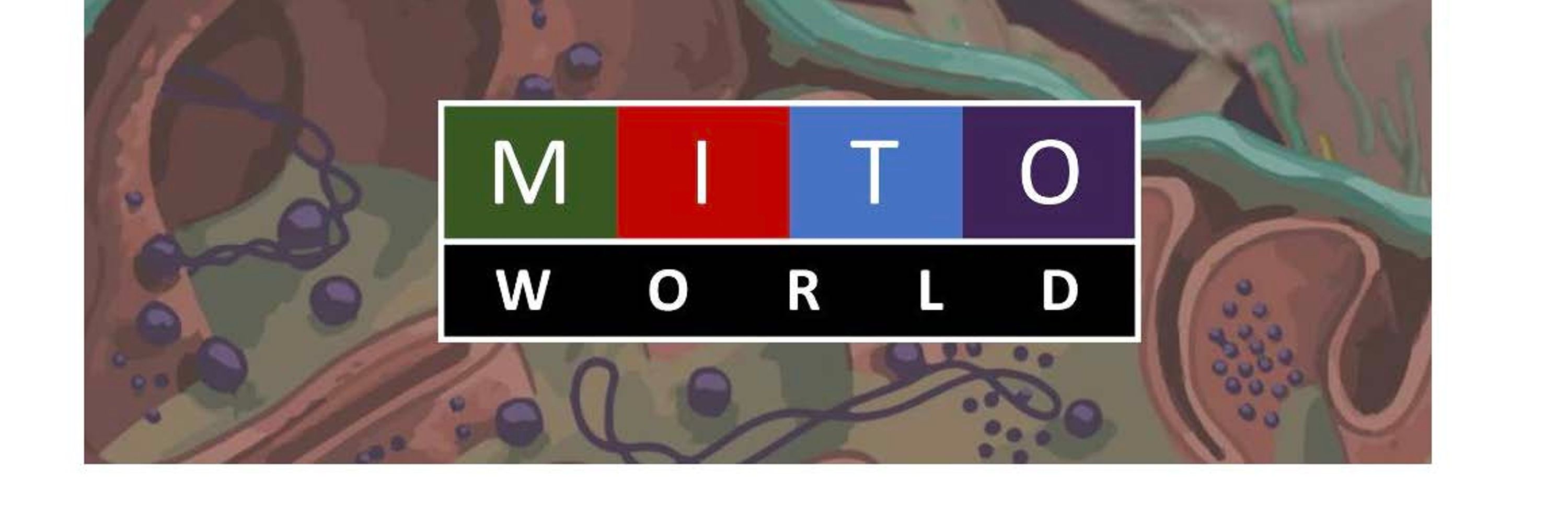 www.MitoWorld.org 