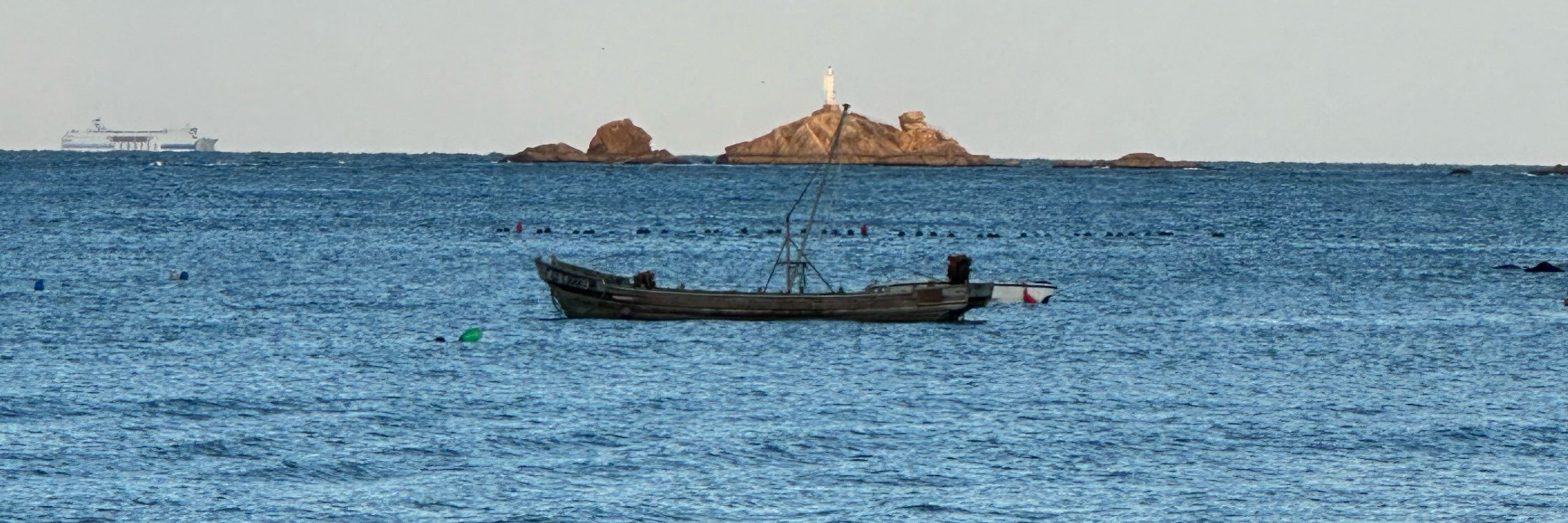 小野