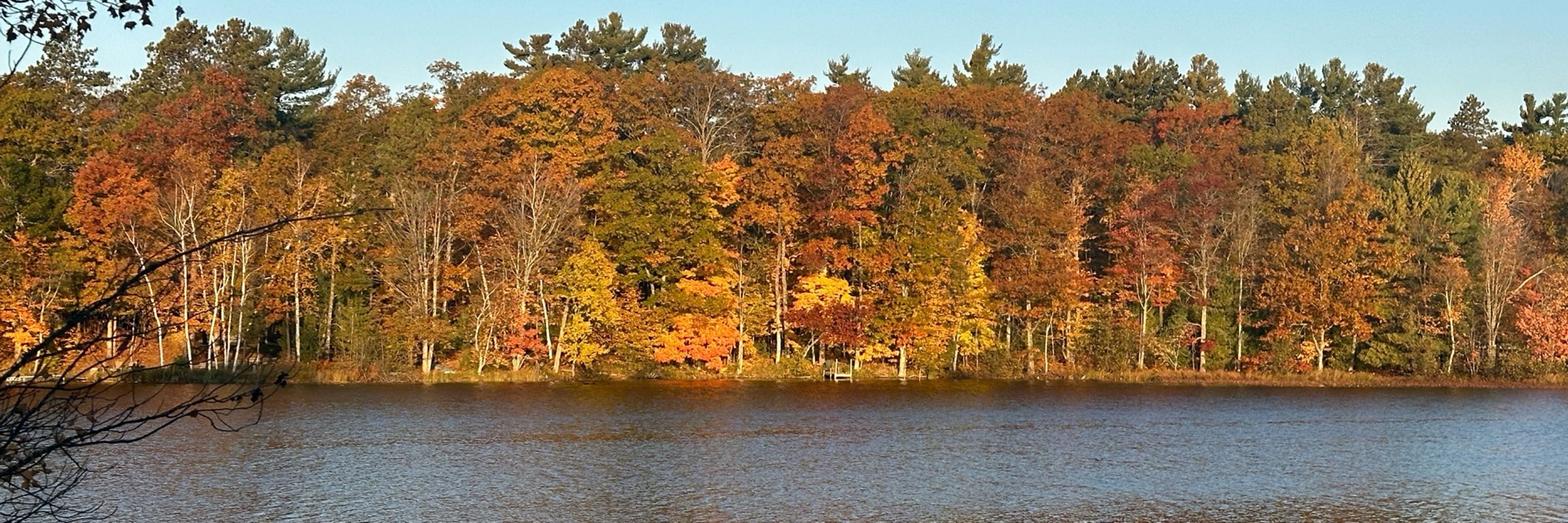 M in MN