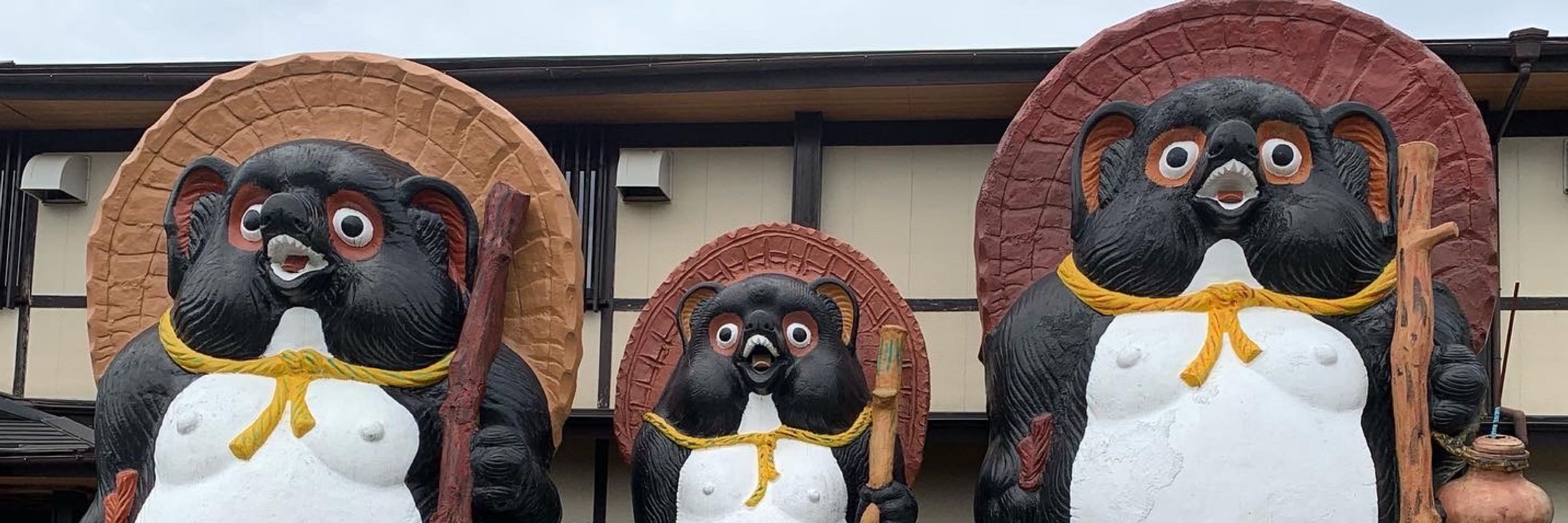 たぬきの本棚