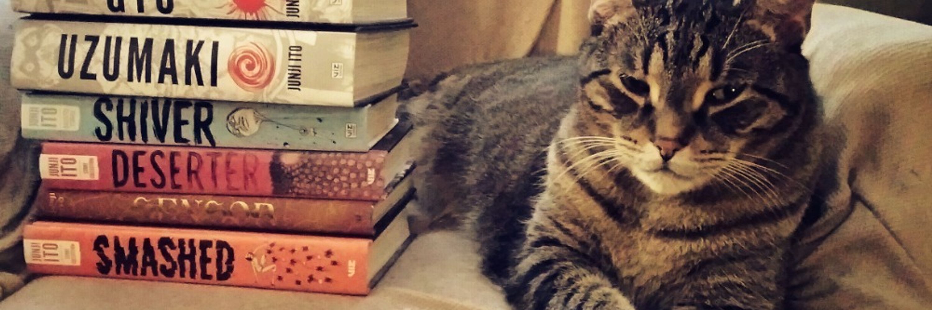 Dr. Cat in The Brain