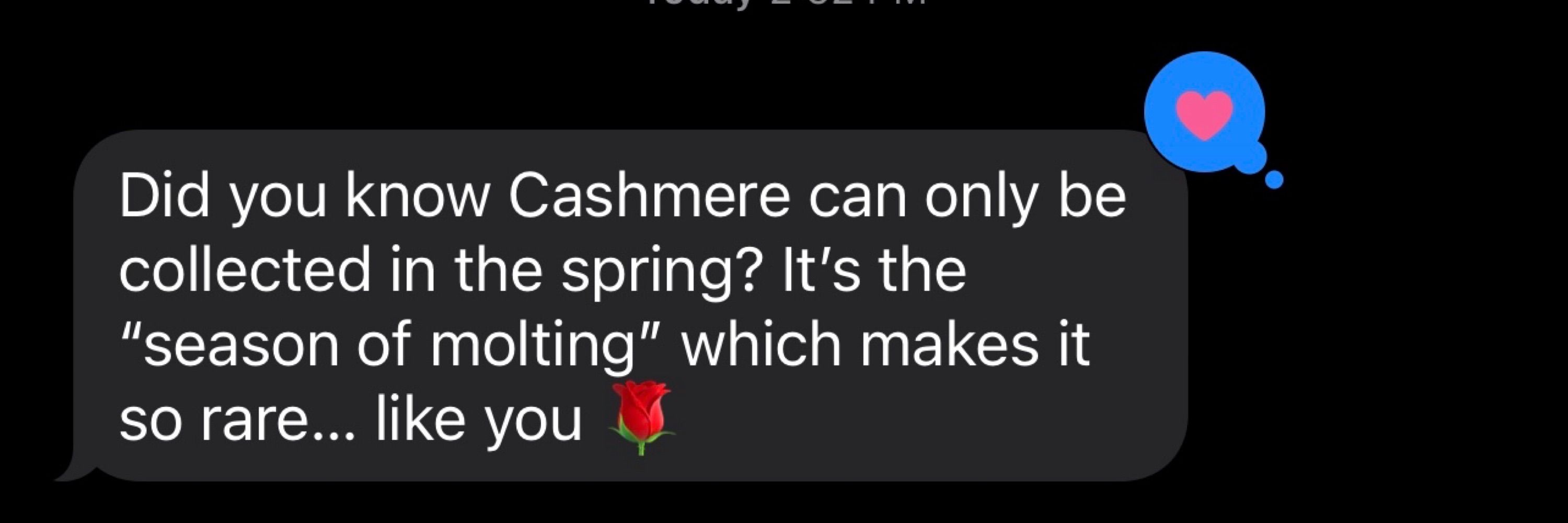 Cashmere Mone’t