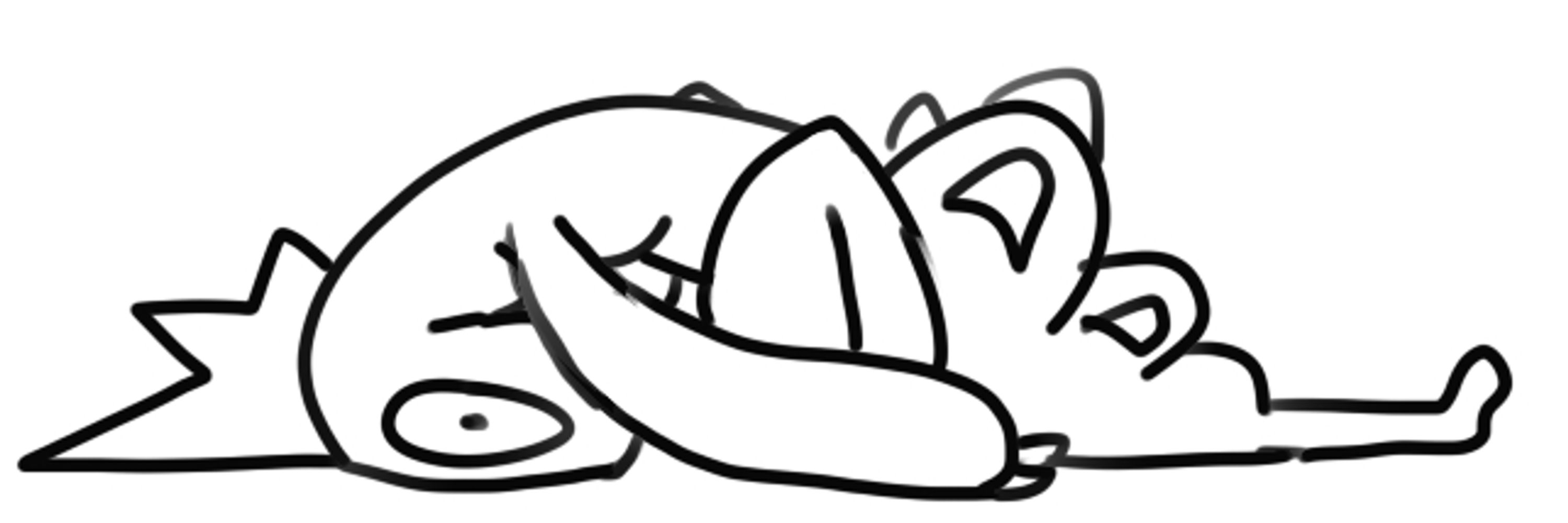 shnoodle