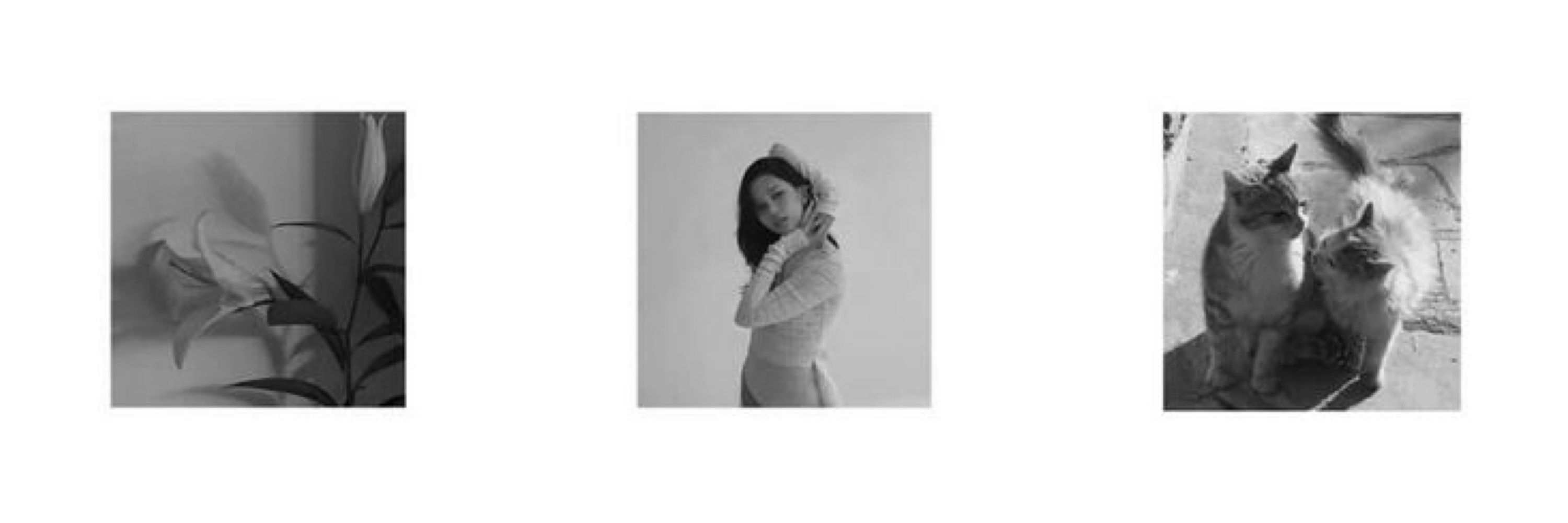 Pimenta || 𝐌𝐈𝐒𝐀𝐌𝐎 𝐈𝐒 𝐂𝐎𝐌𝐈𝐍𝐆