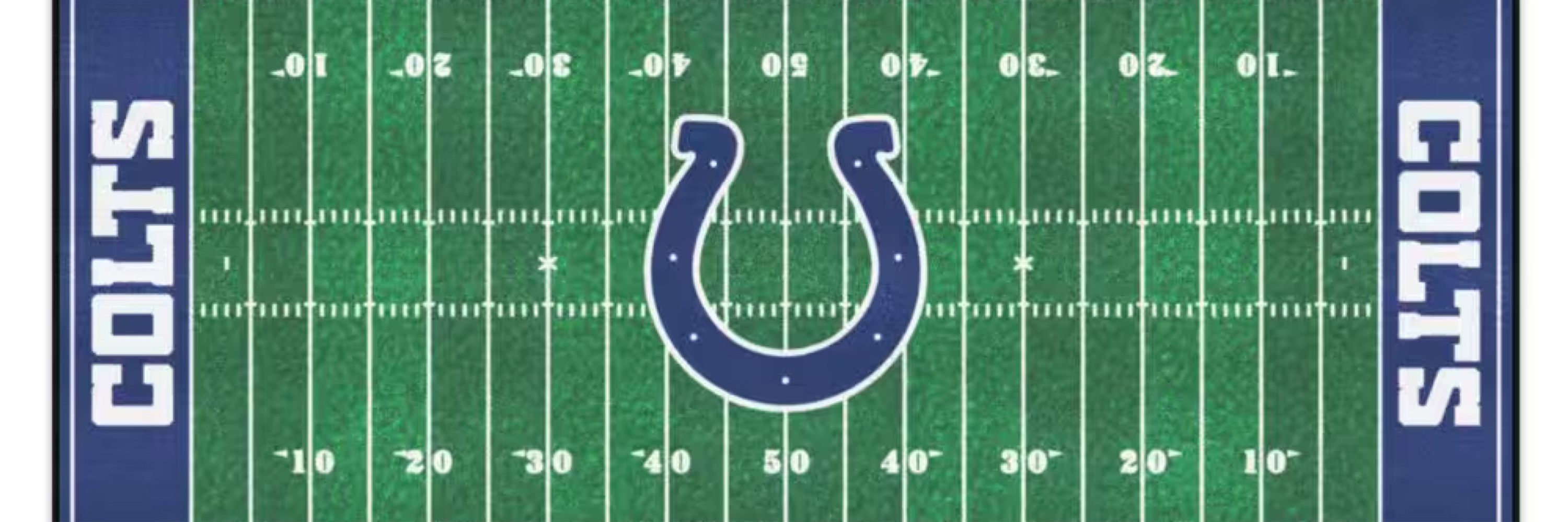 Random Colts Fan