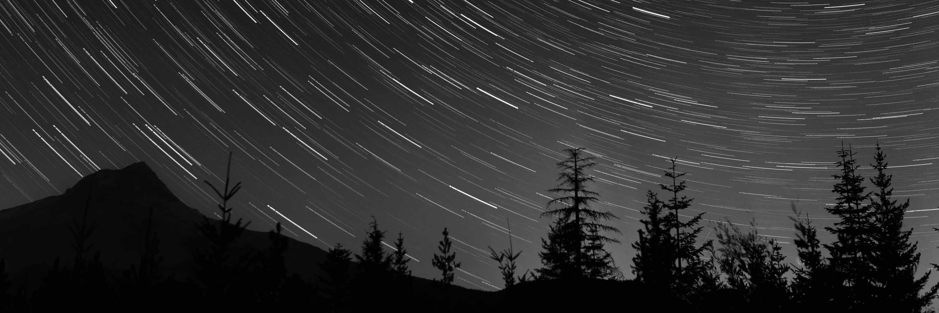 Nick Niland Photography