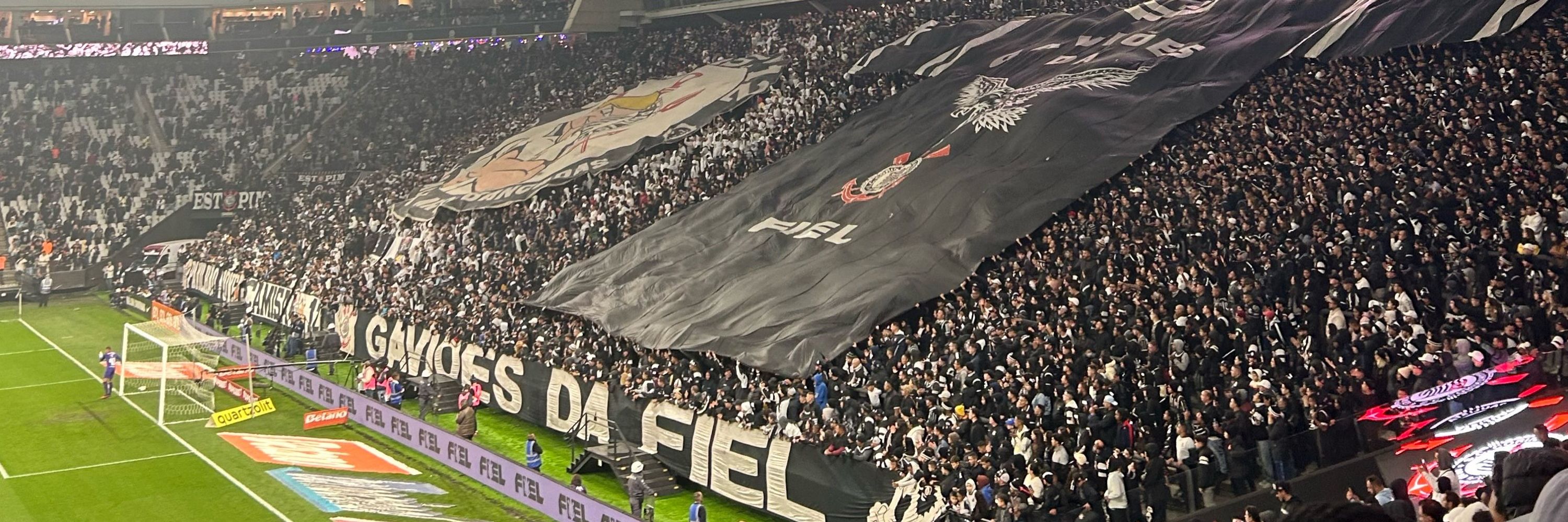 Lewis🦅