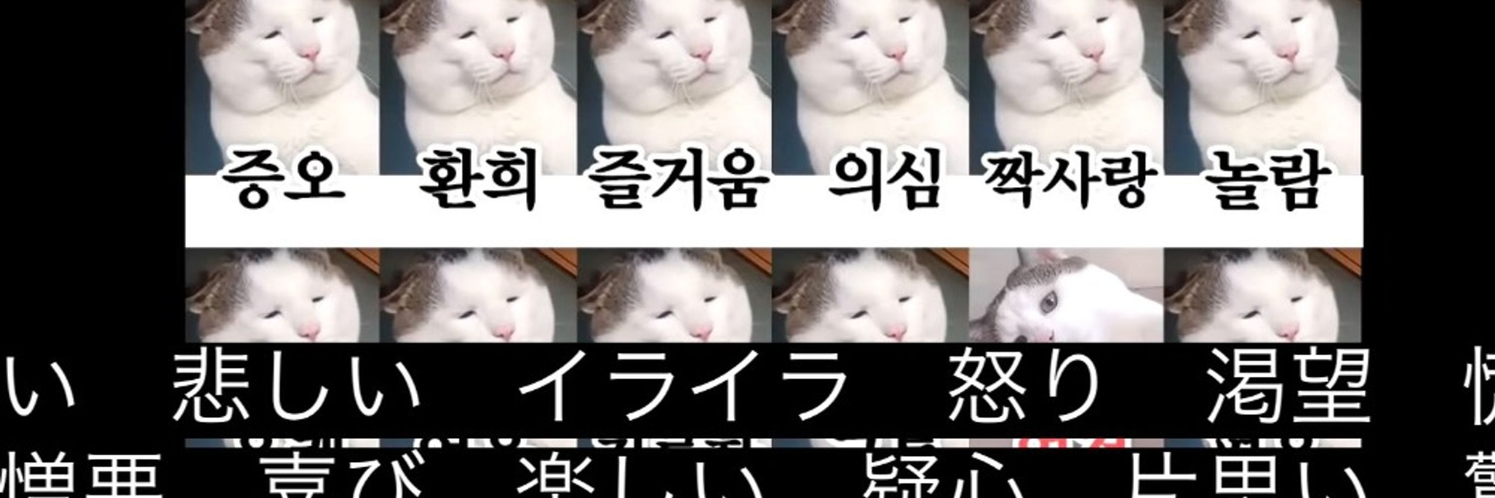 きたのうす
