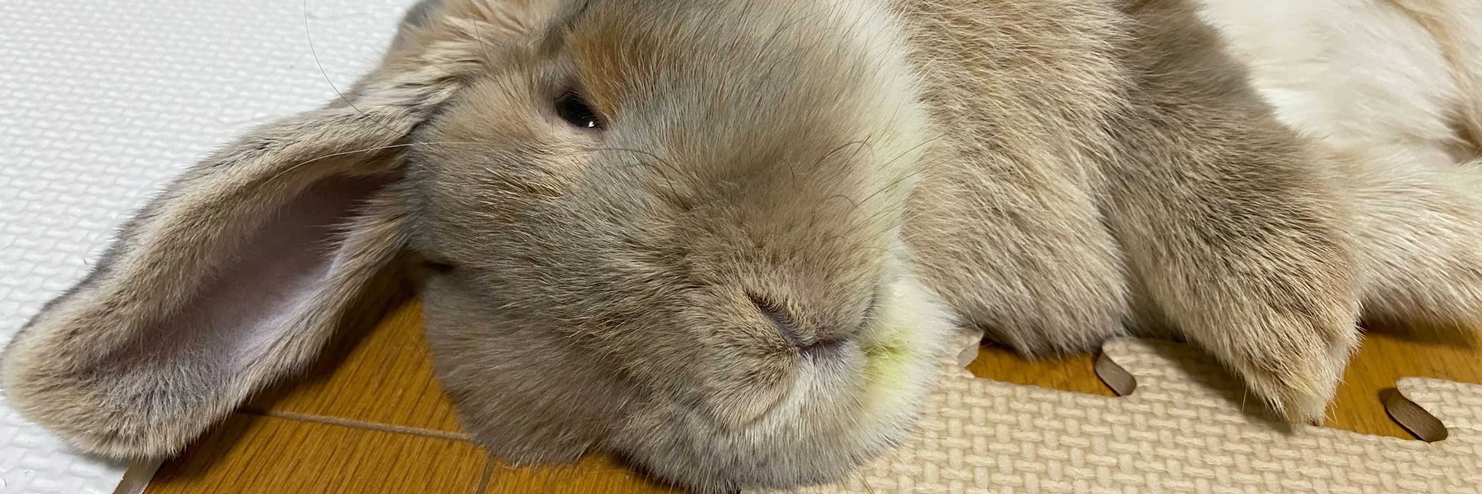 なっと