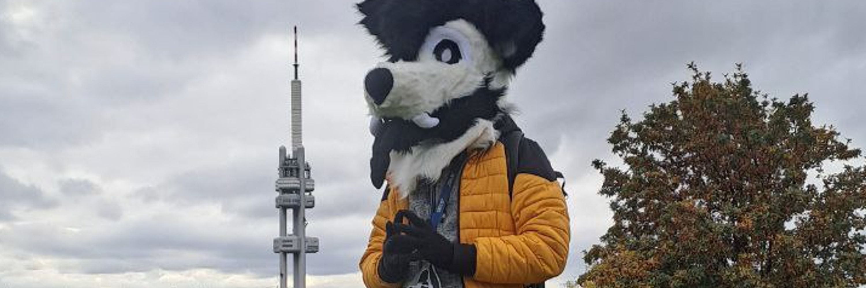Jack The Weird Wolf