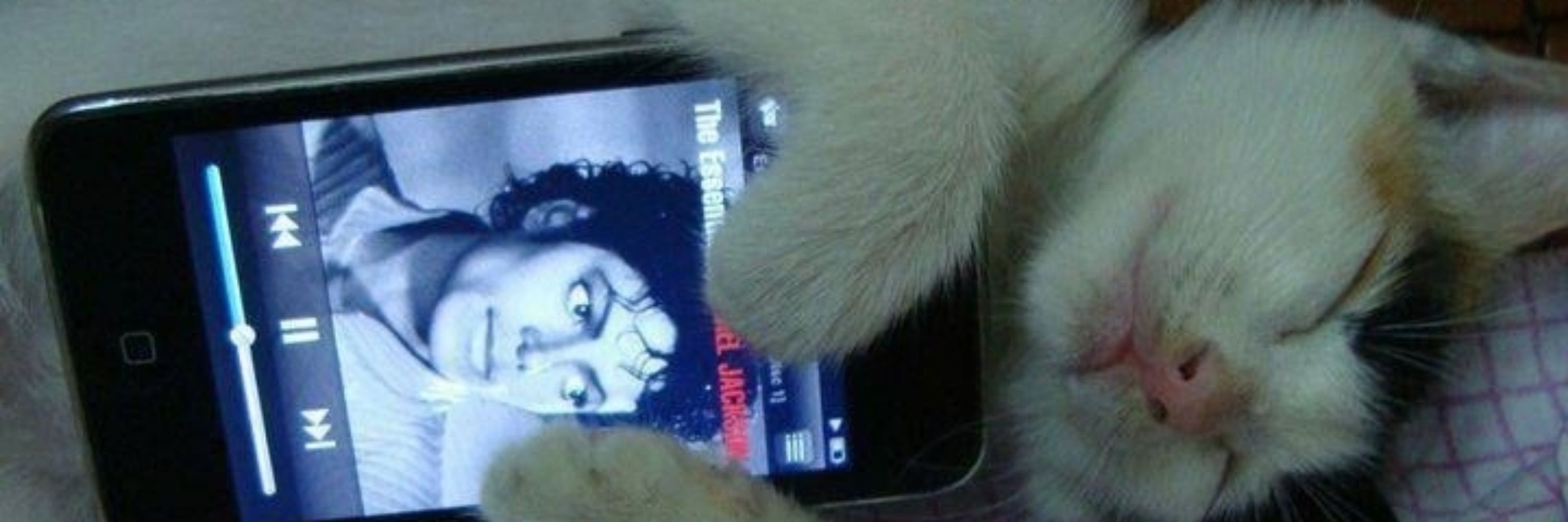 Apple Head ୨ৎ