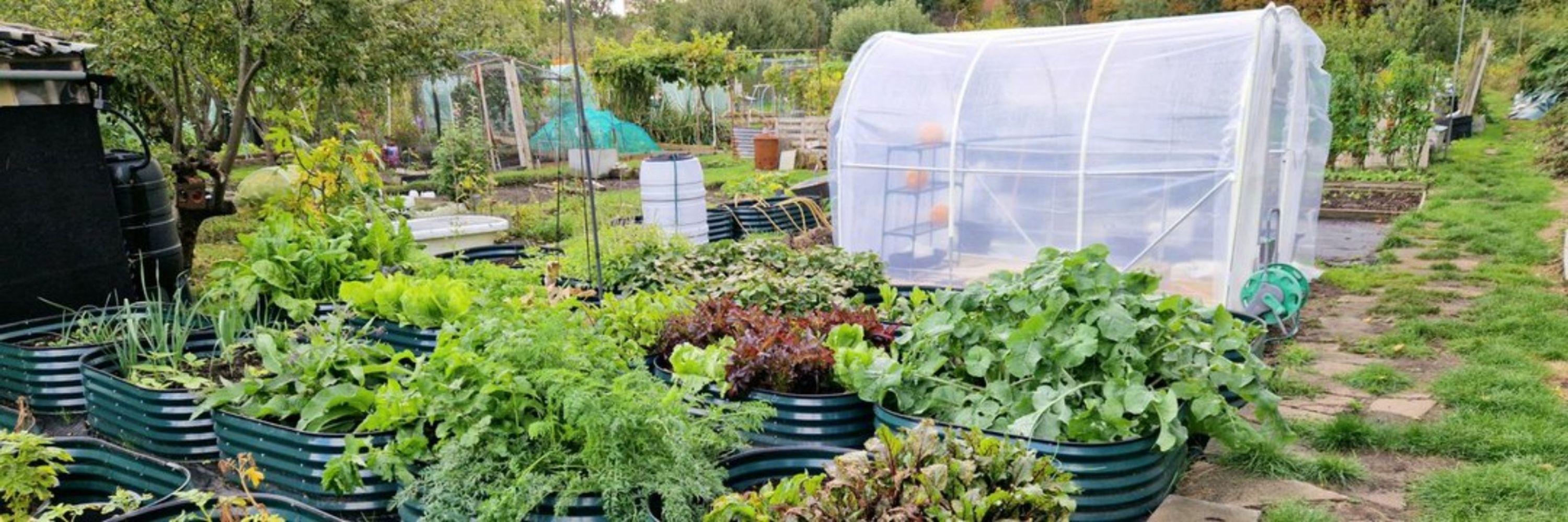 Gardener Blind