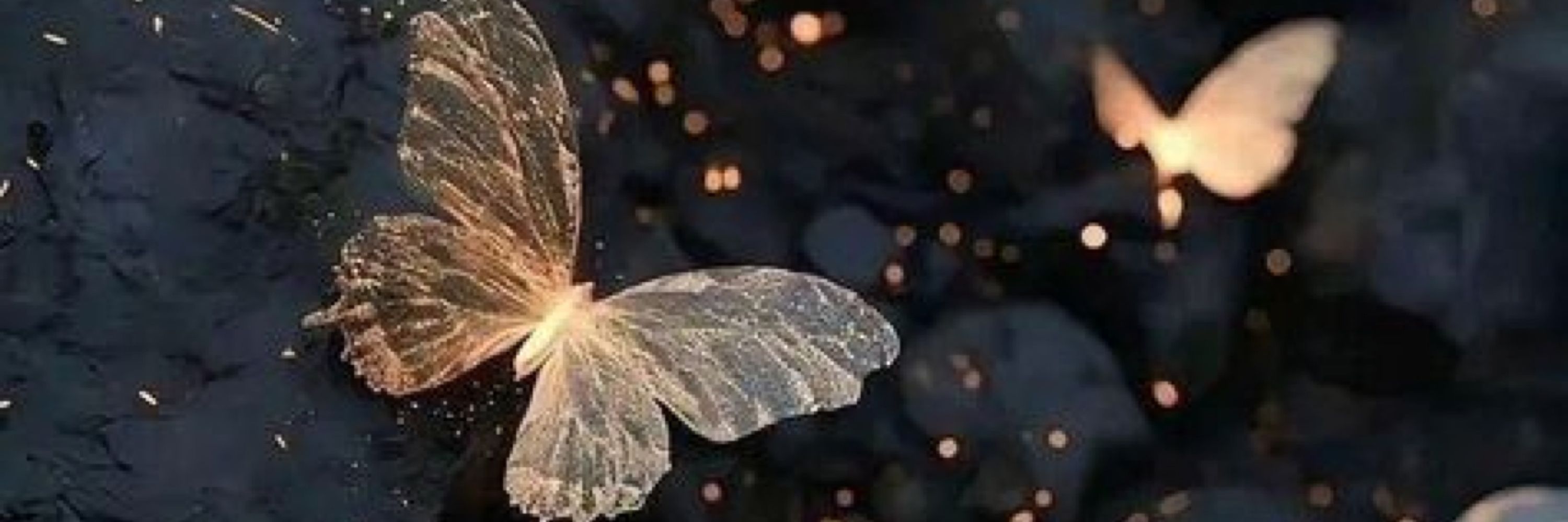 ✦ 𝑘𝒂𝑡𝒆 ✦