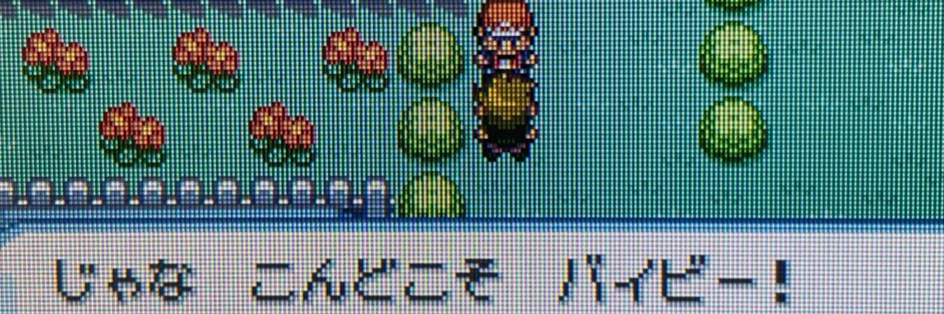 おもち