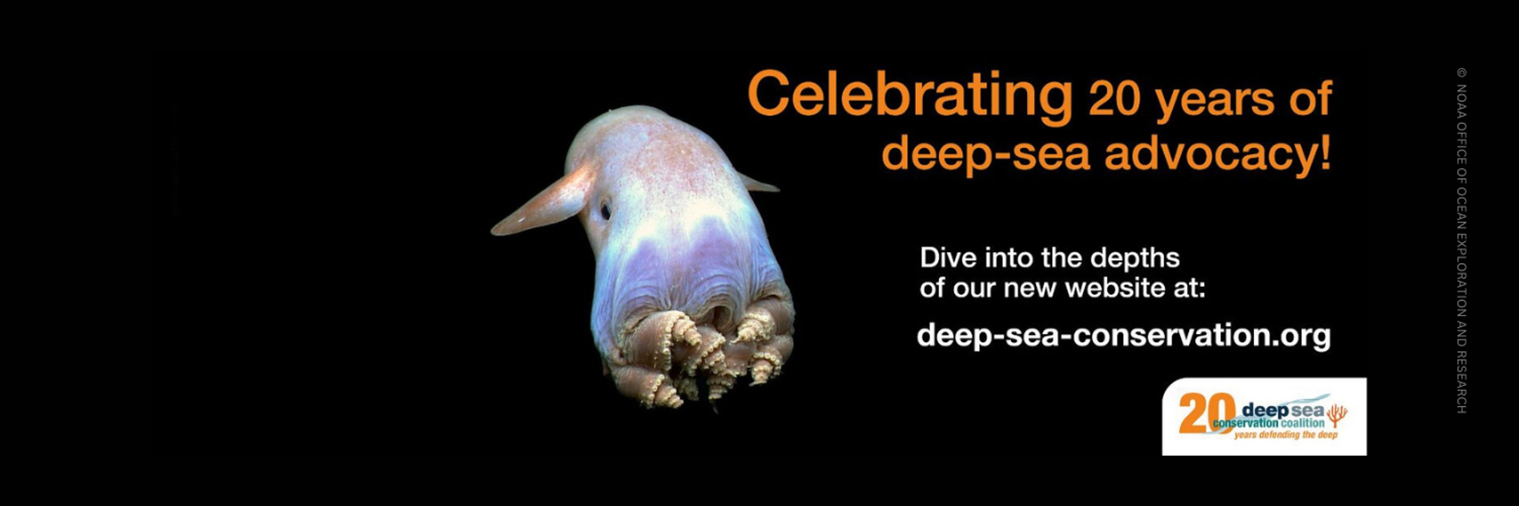 Deep Sea Conservation Coalition