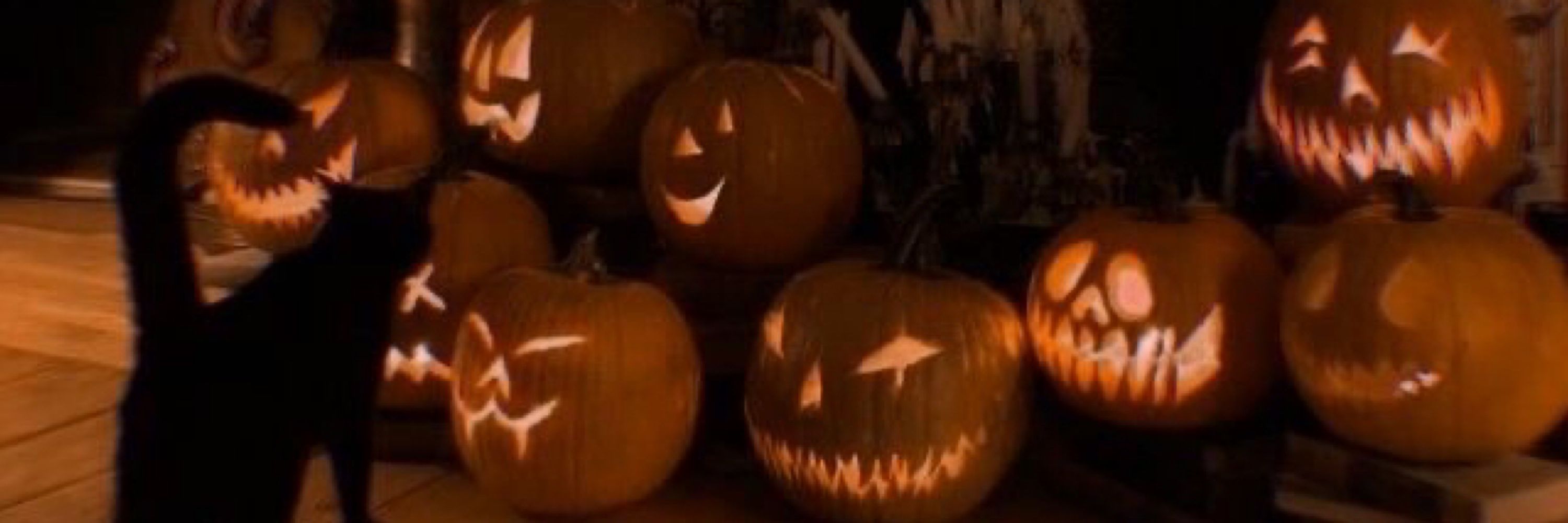 🎃laura está na spooky season🎃