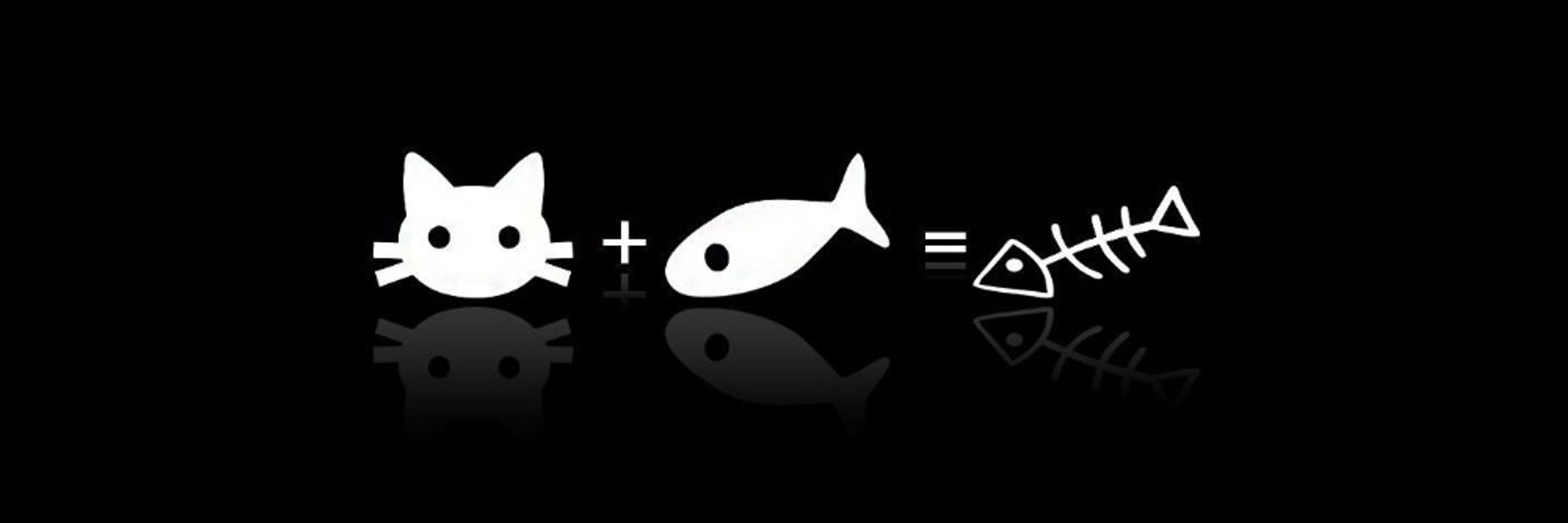 d_rook